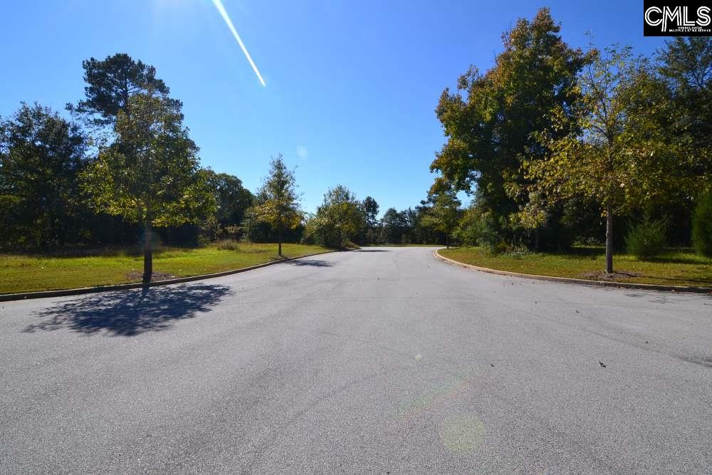 6 Blythe View Court UNIT #14 Blythewood, SC 29016