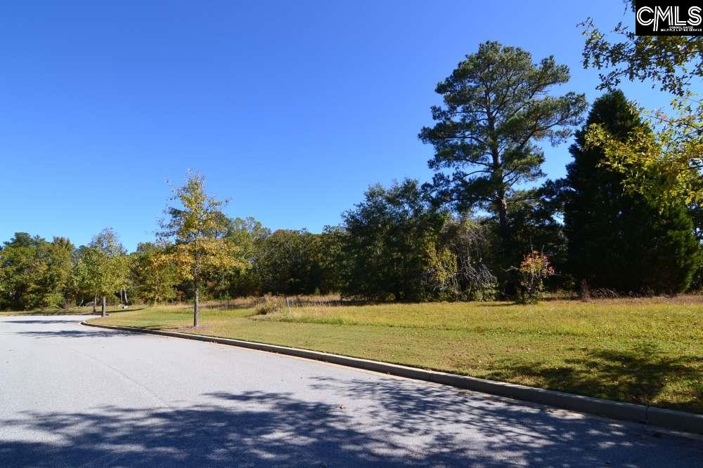 6 Blythe View Court UNIT #14 Blythewood, SC 29016