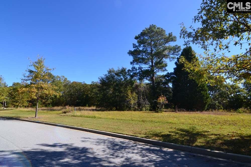 6 Blythe View Court UNIT #14 Blythewood, SC 29016