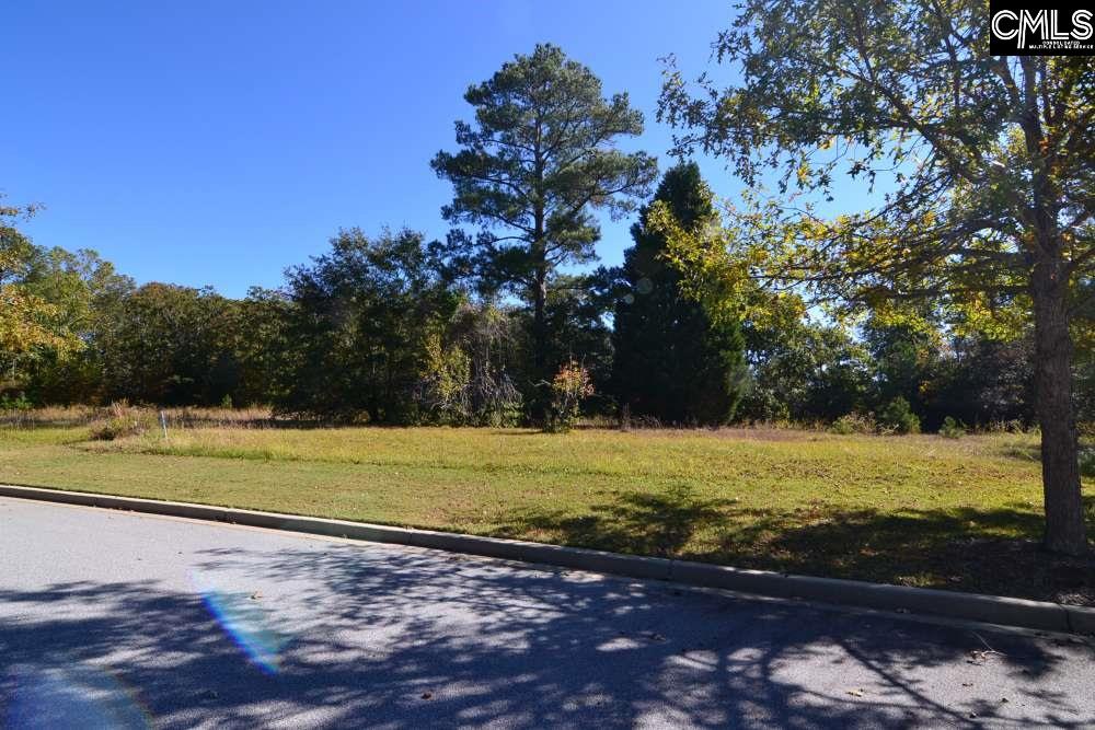 6 Blythe View Court UNIT #14 Blythewood, SC 29016