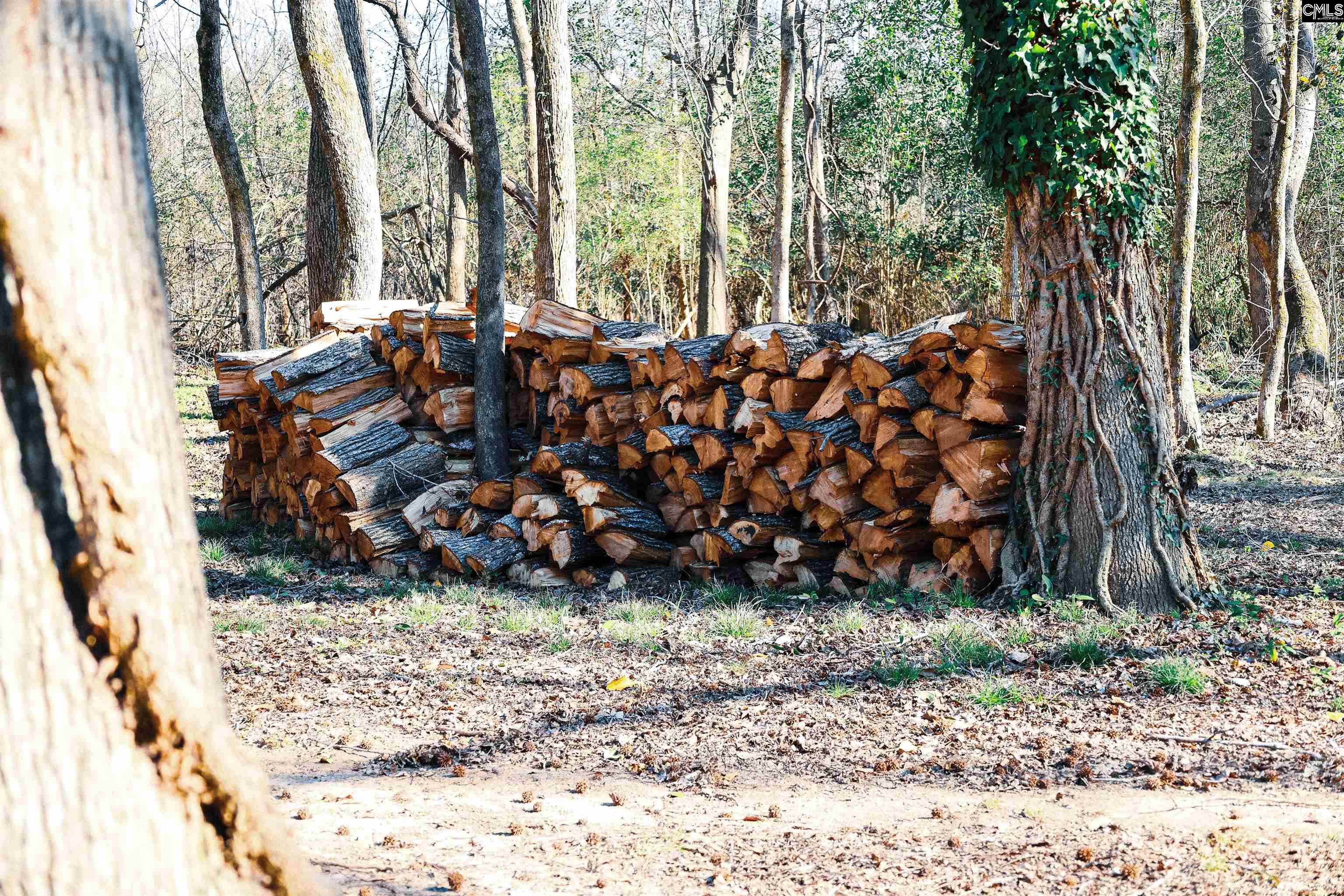 161 Tybo Drive, Lexington, South Carolina image 24