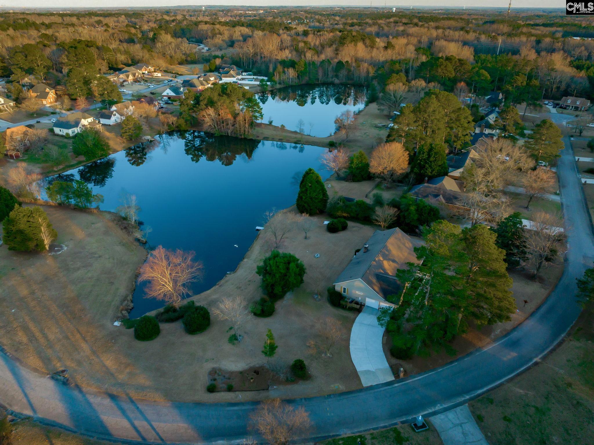 250 River Crossing, Lexington, South Carolina image 5