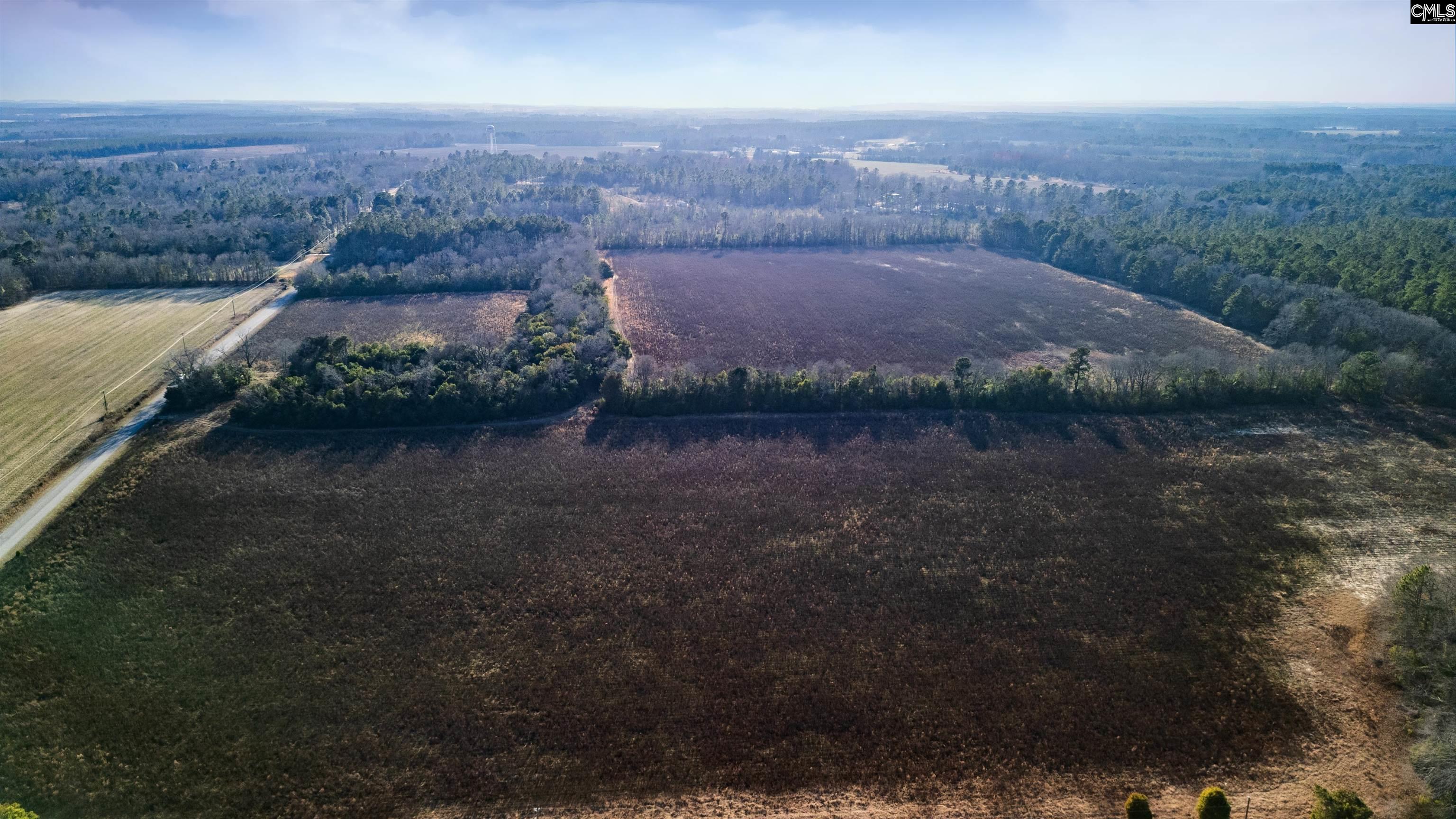 SW NORTH 60 014 Comos Road, Livingston, South Carolina image 3