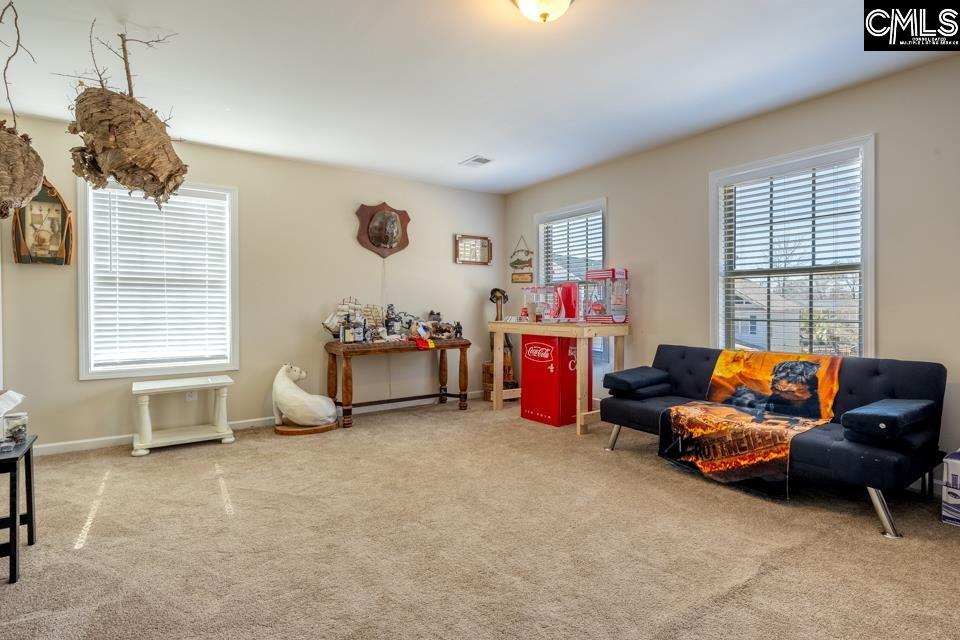 105 Gaslight Lane, Columbia, South Carolina image 38
