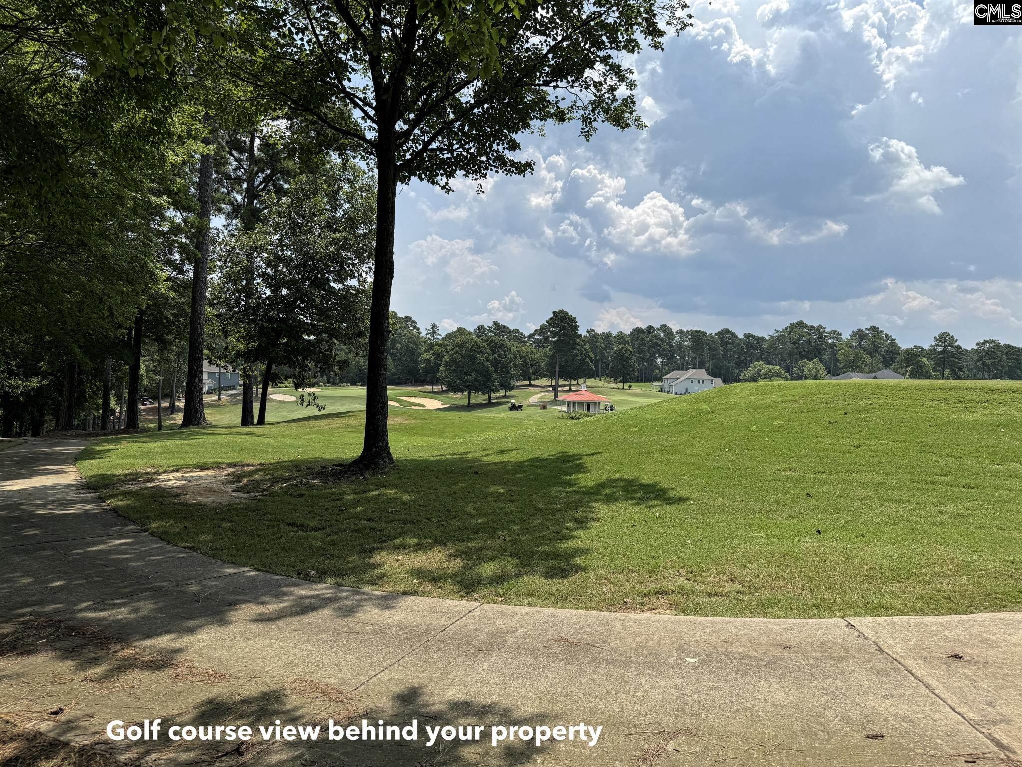 1240 Coogler Crossing Drive Blythewood, SC 29016