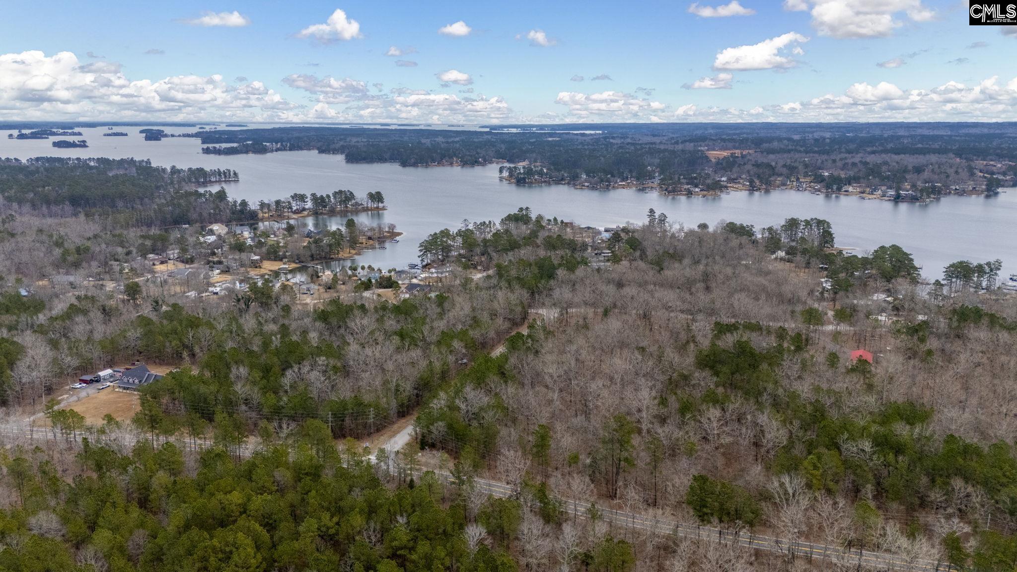 Lake Village Drive, Leesville, South Carolina image 1