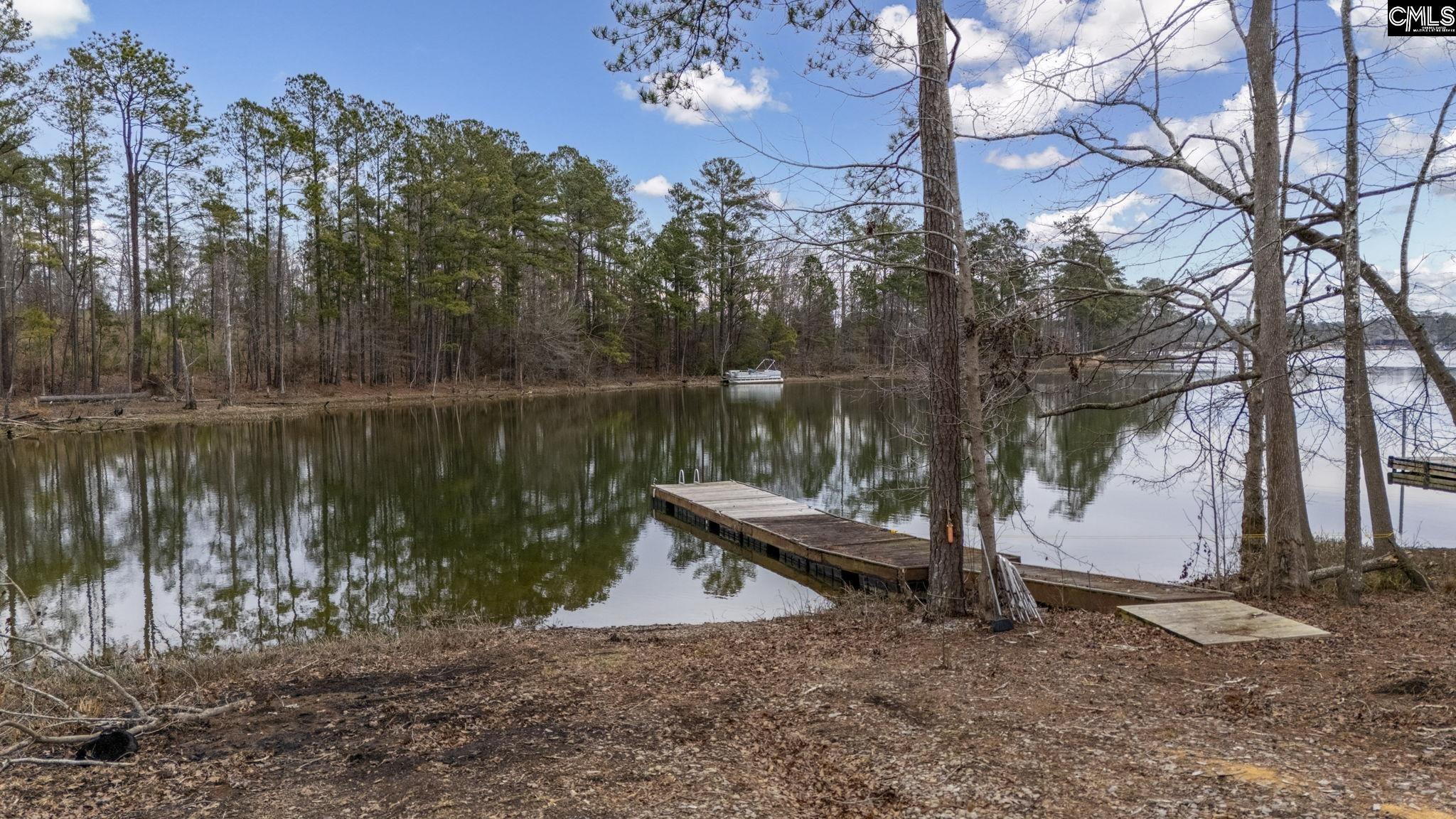 Lake Village Drive, Leesville, South Carolina image 11