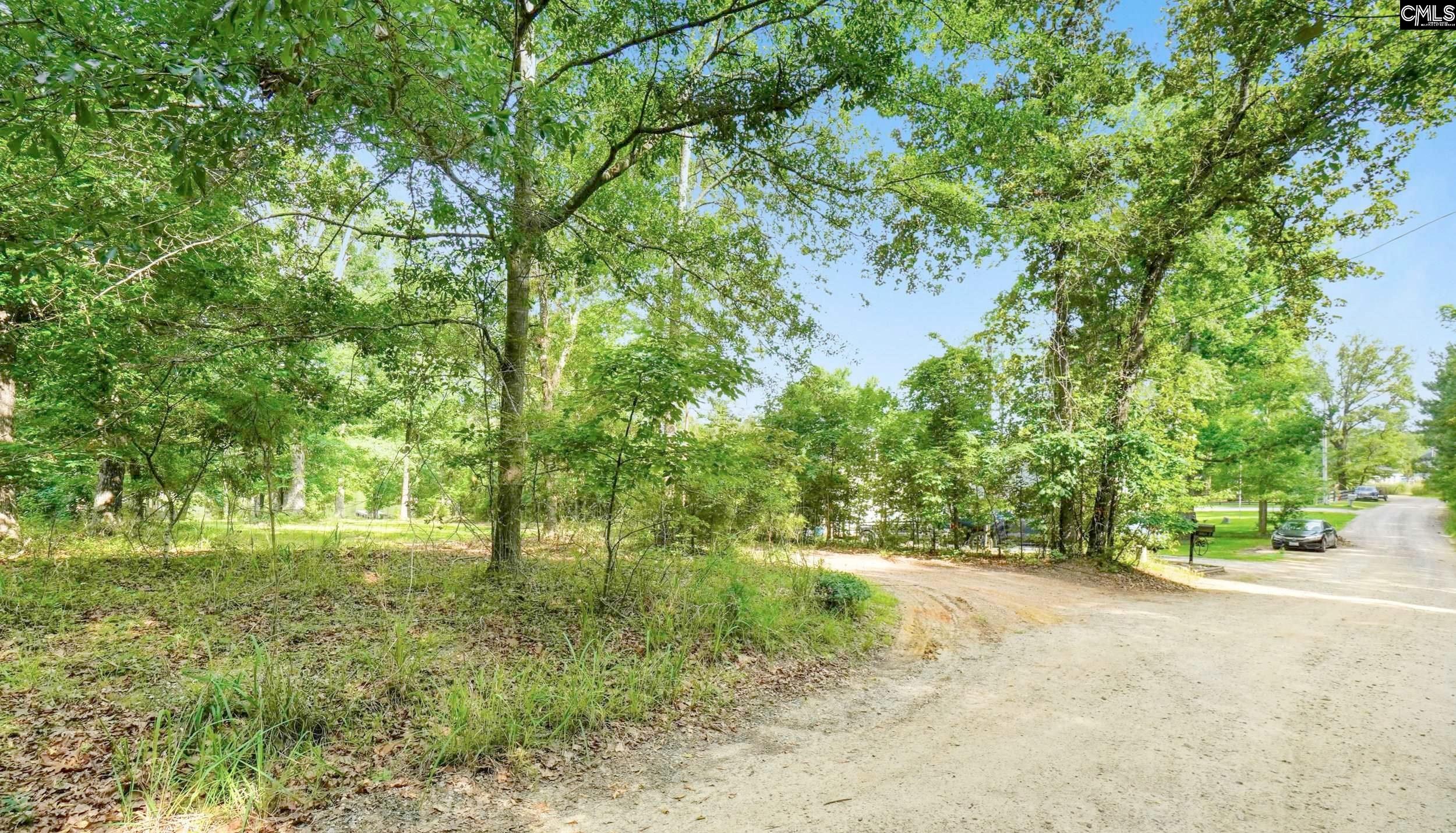 Lake Village Drive, Leesville, South Carolina image 12