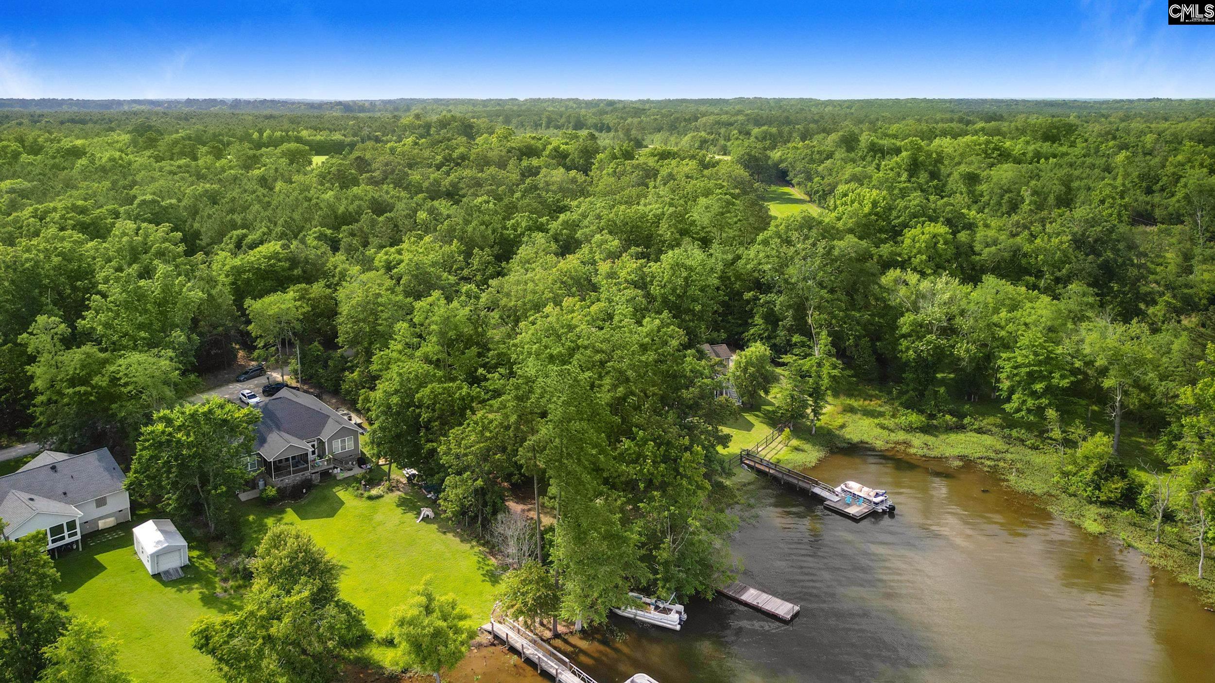 Lake Village Drive, Leesville, South Carolina image 13