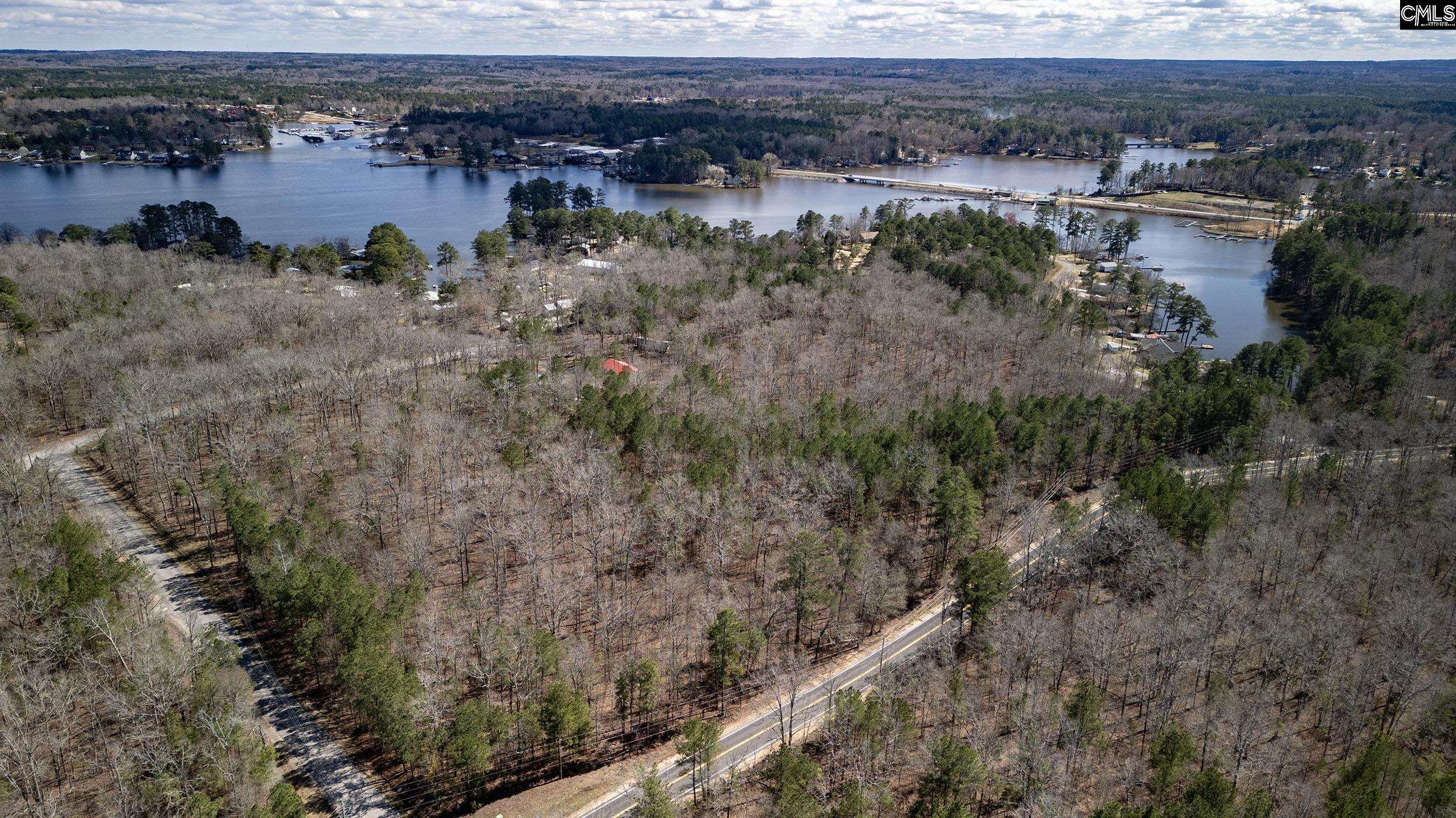 Lake Village Drive, Leesville, South Carolina image 3
