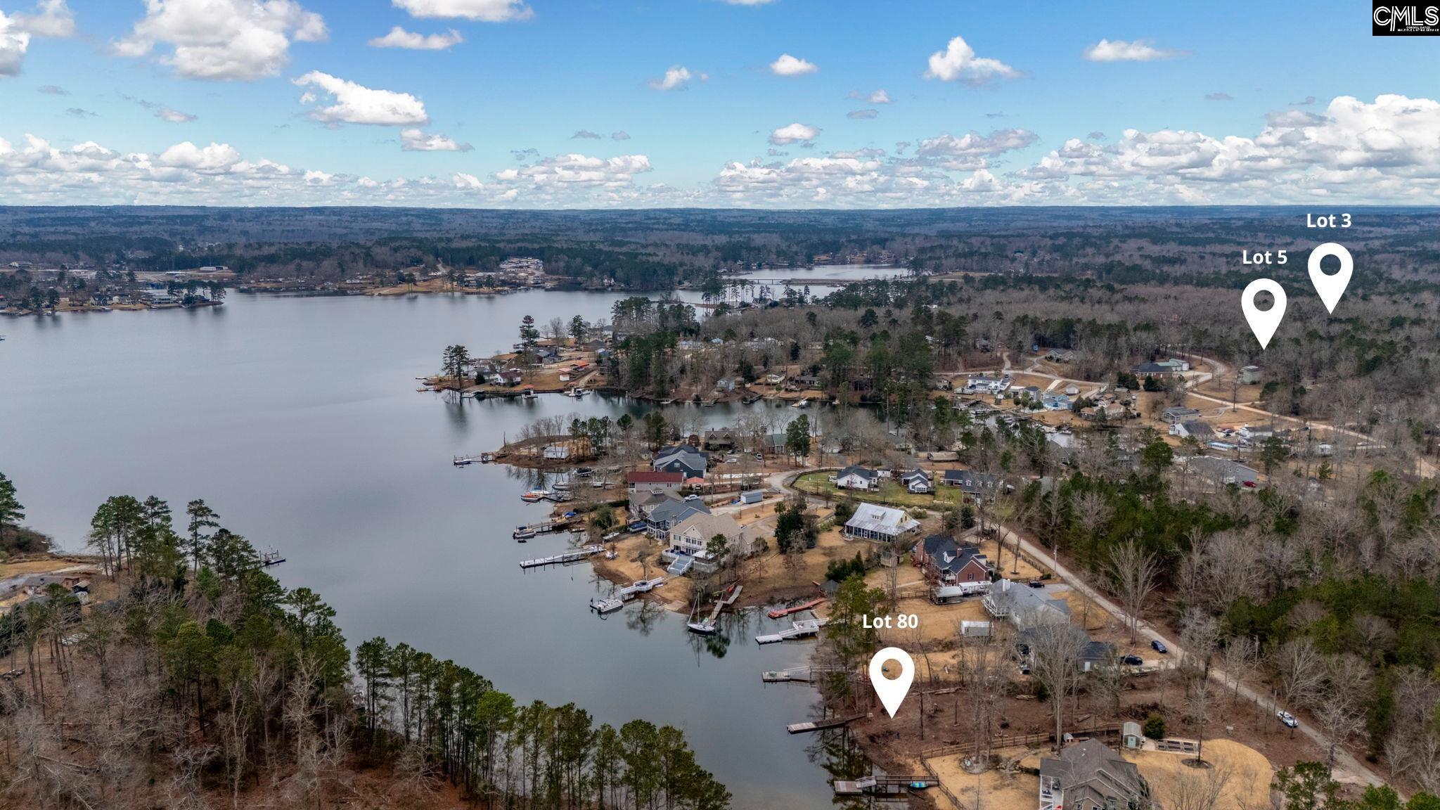 Lake Village Drive, Leesville, South Carolina image 6