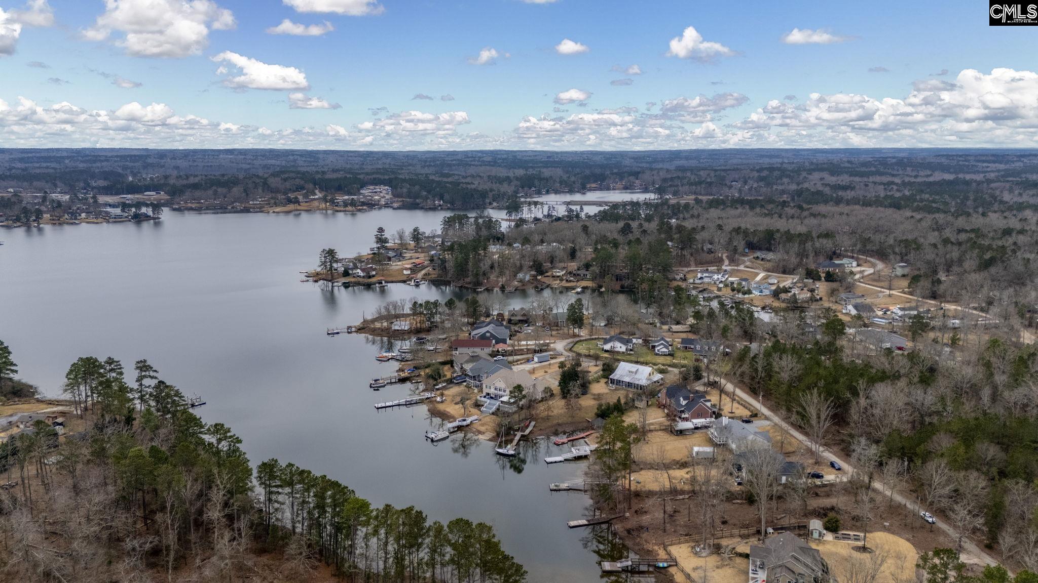 Lake Village Drive, Leesville, South Carolina image 8
