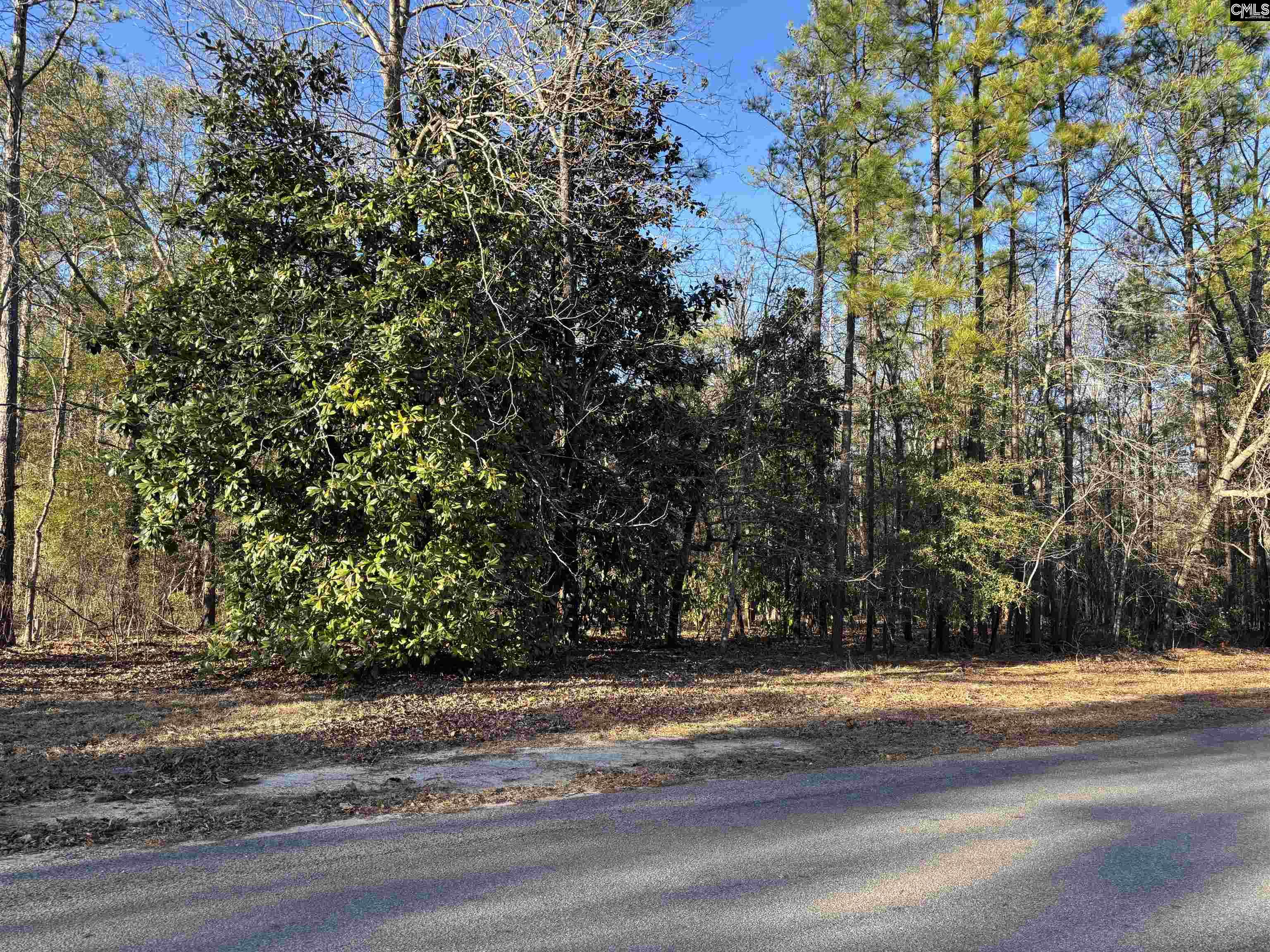 5 Hunt Cup Lane Camden, SC 29020