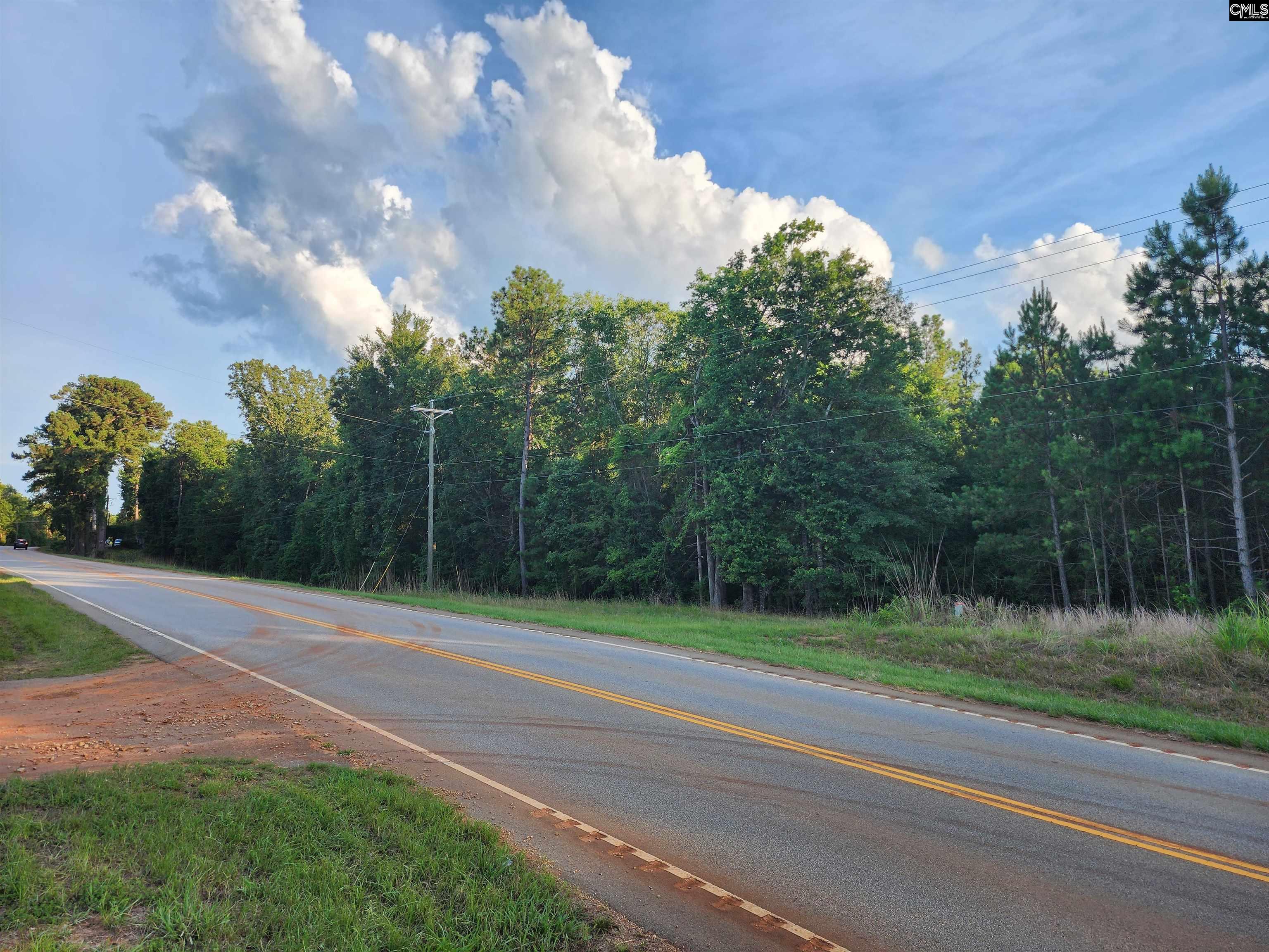 13294 State Hwy 215 S, Jenkinsville, South Carolina image 2