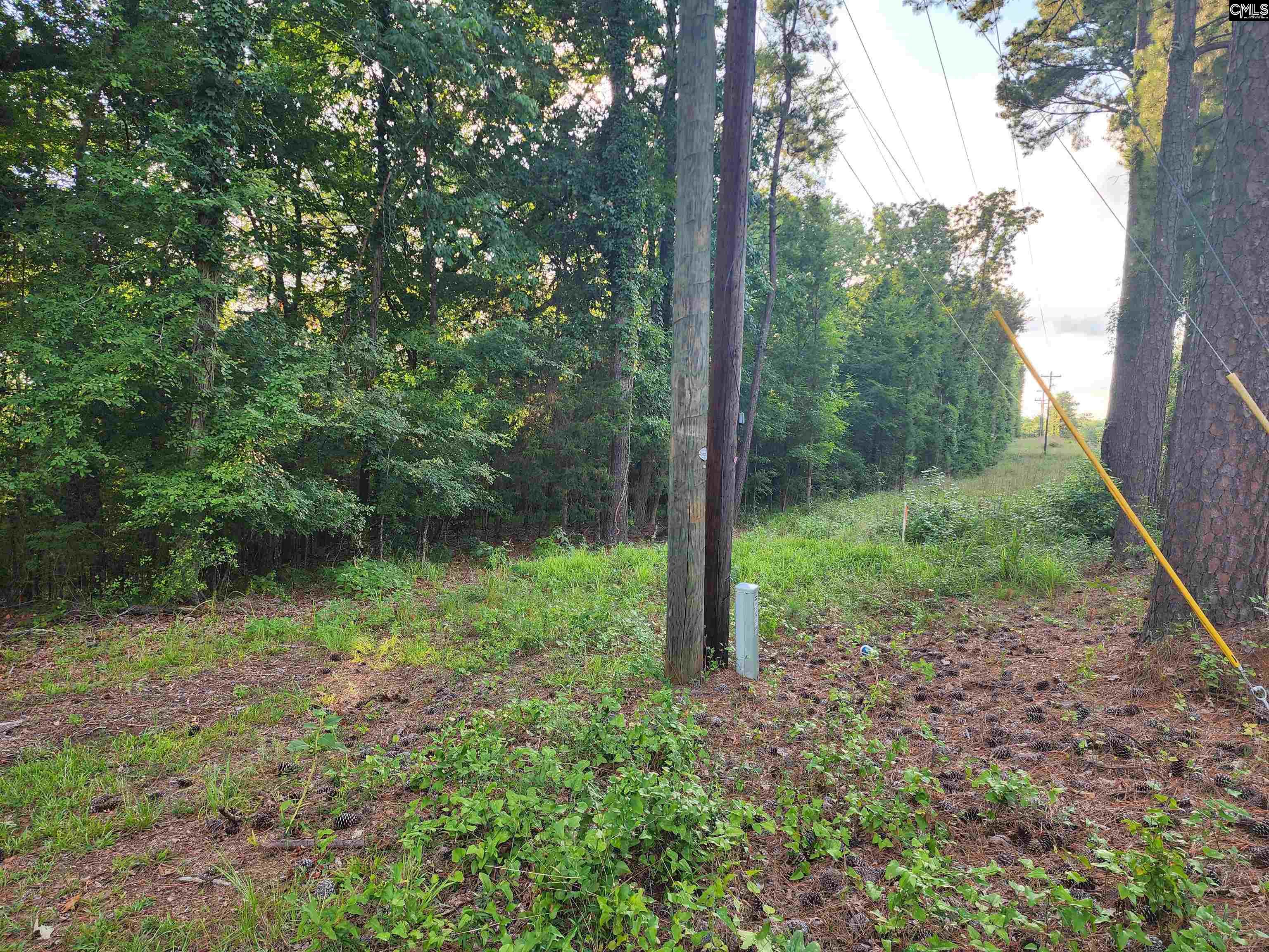 13294 State Hwy 215 S, Jenkinsville, South Carolina image 3