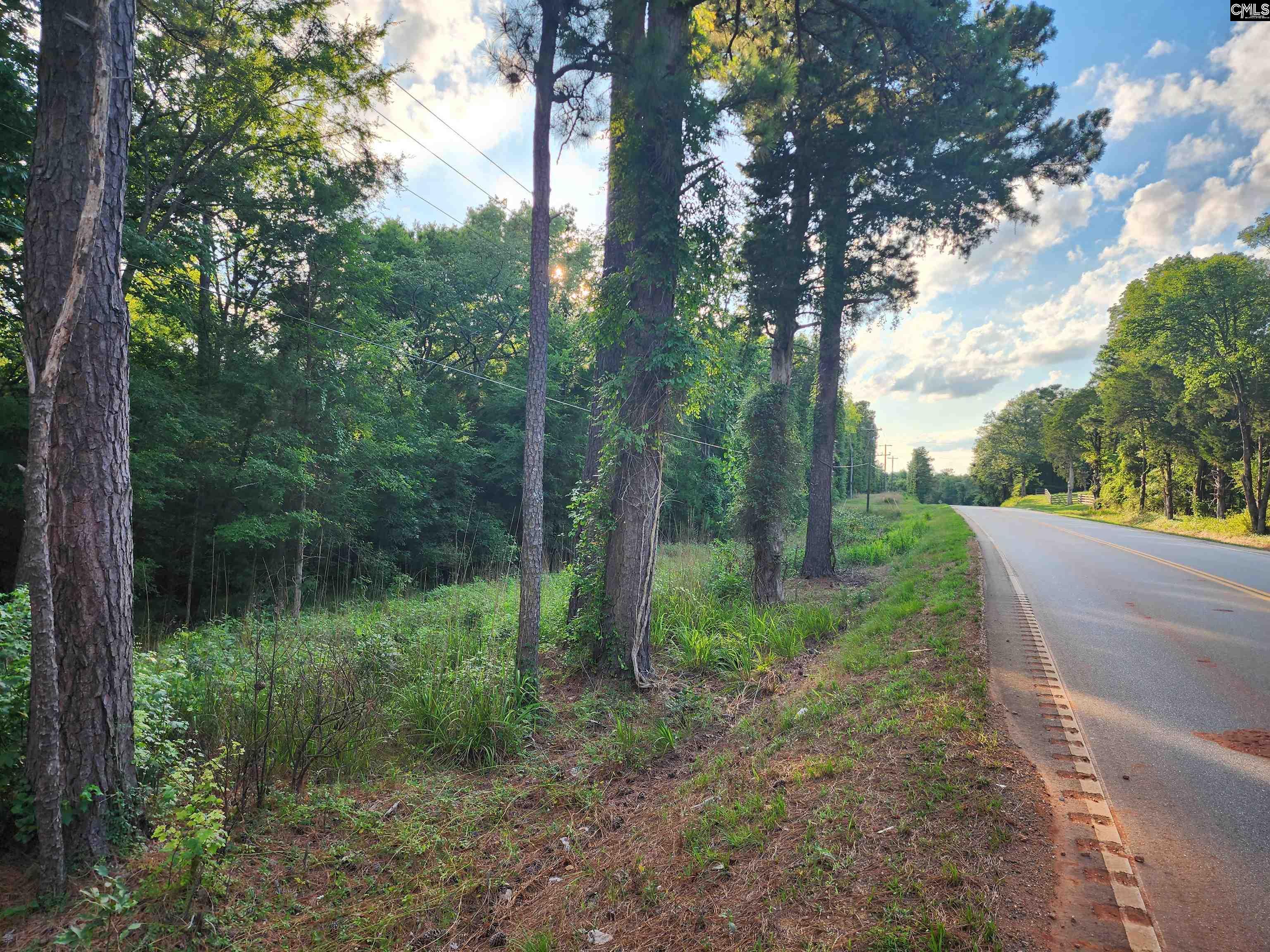 13294 State Hwy 215 S, Jenkinsville, South Carolina image 5
