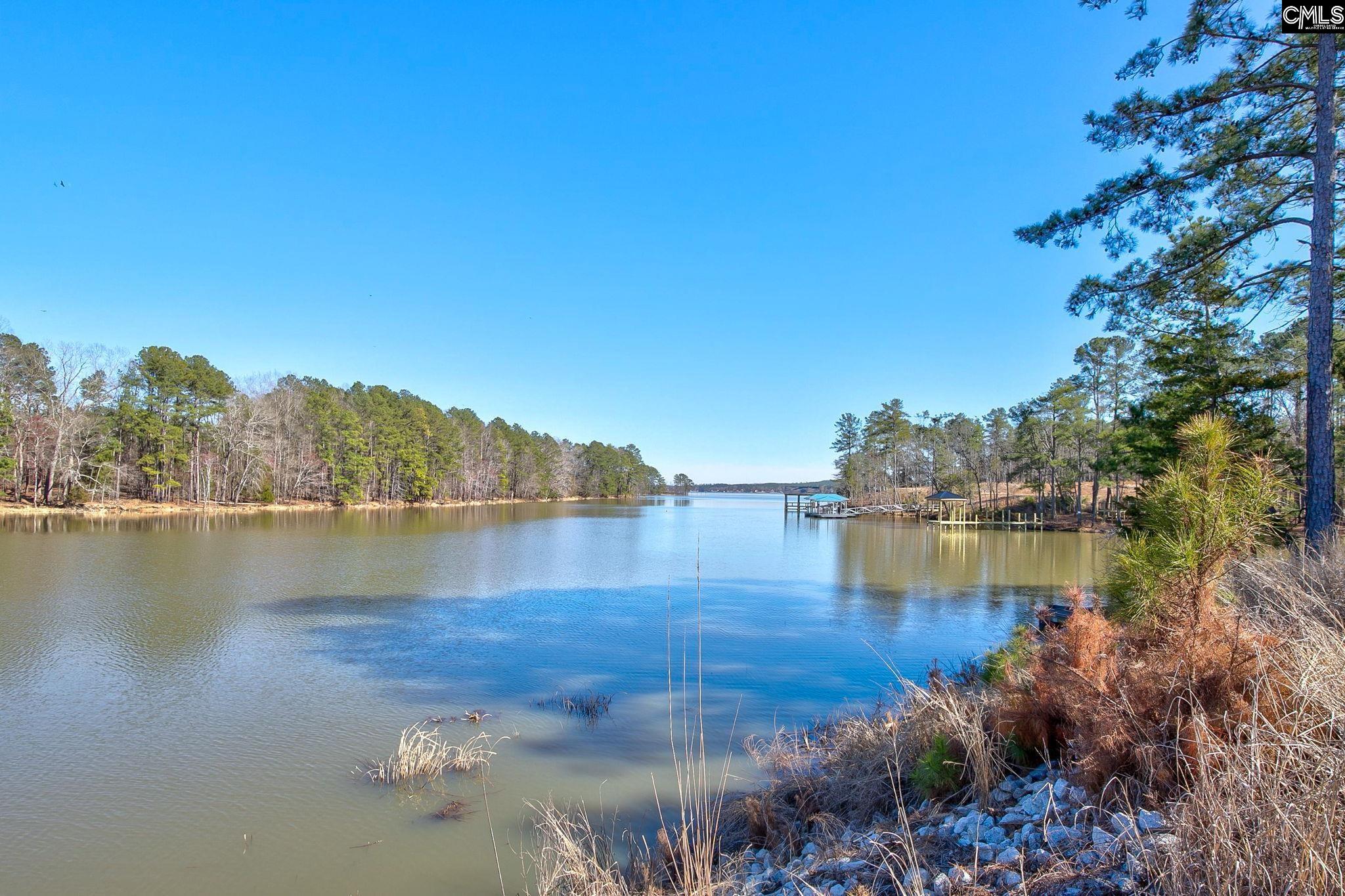 785 Retreat Way, Ridgeway, South Carolina image 3
