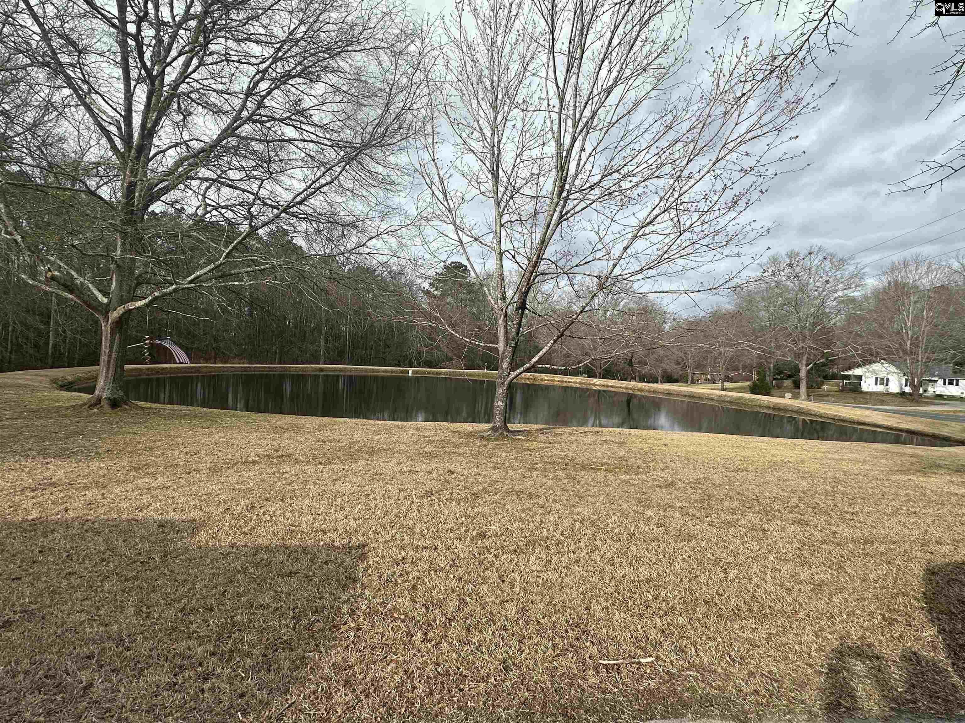 1941 Ray Price Road, Leesville, South Carolina image 5