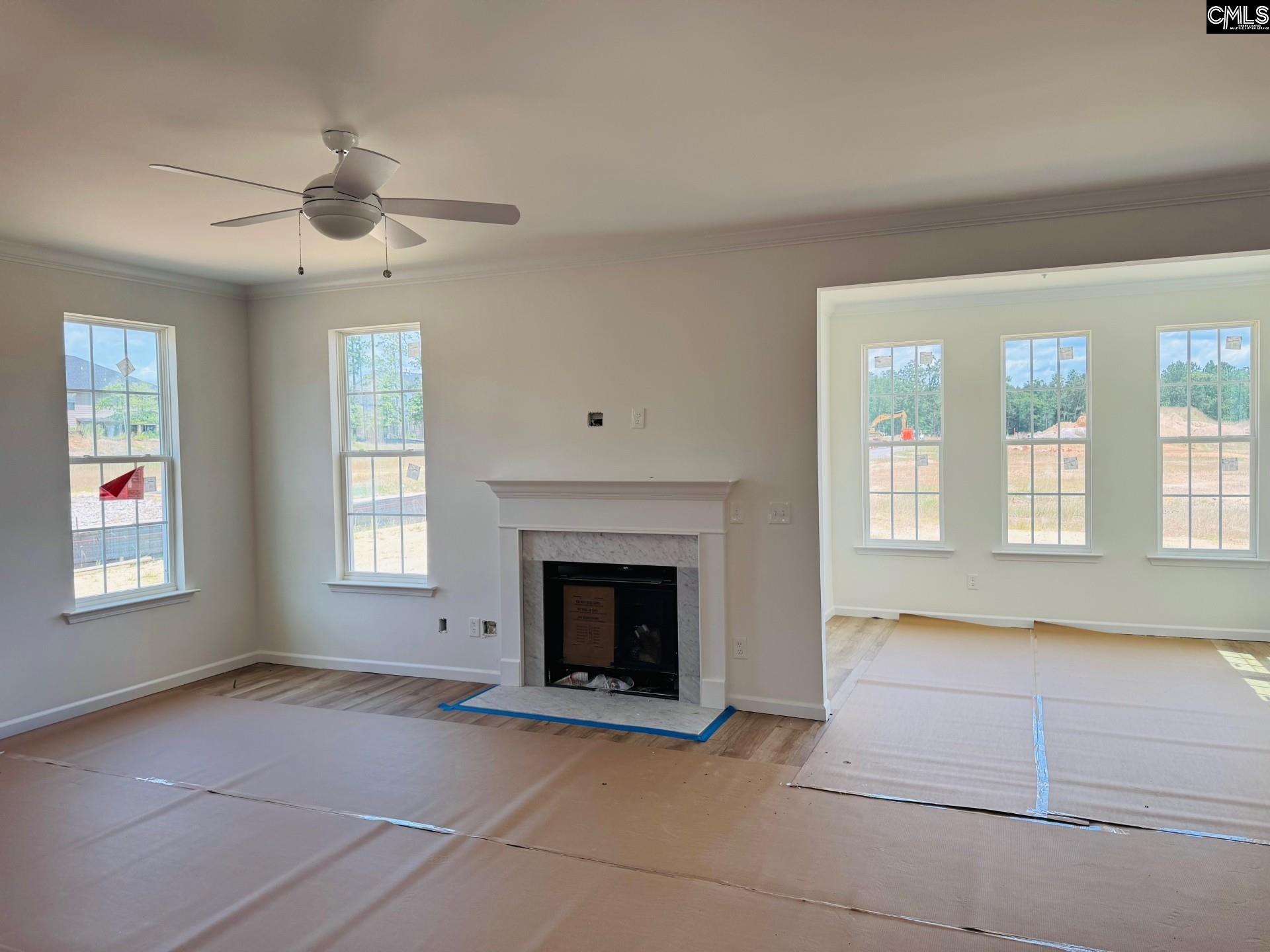 311 Rising Stream Way Chapin, SC 29036