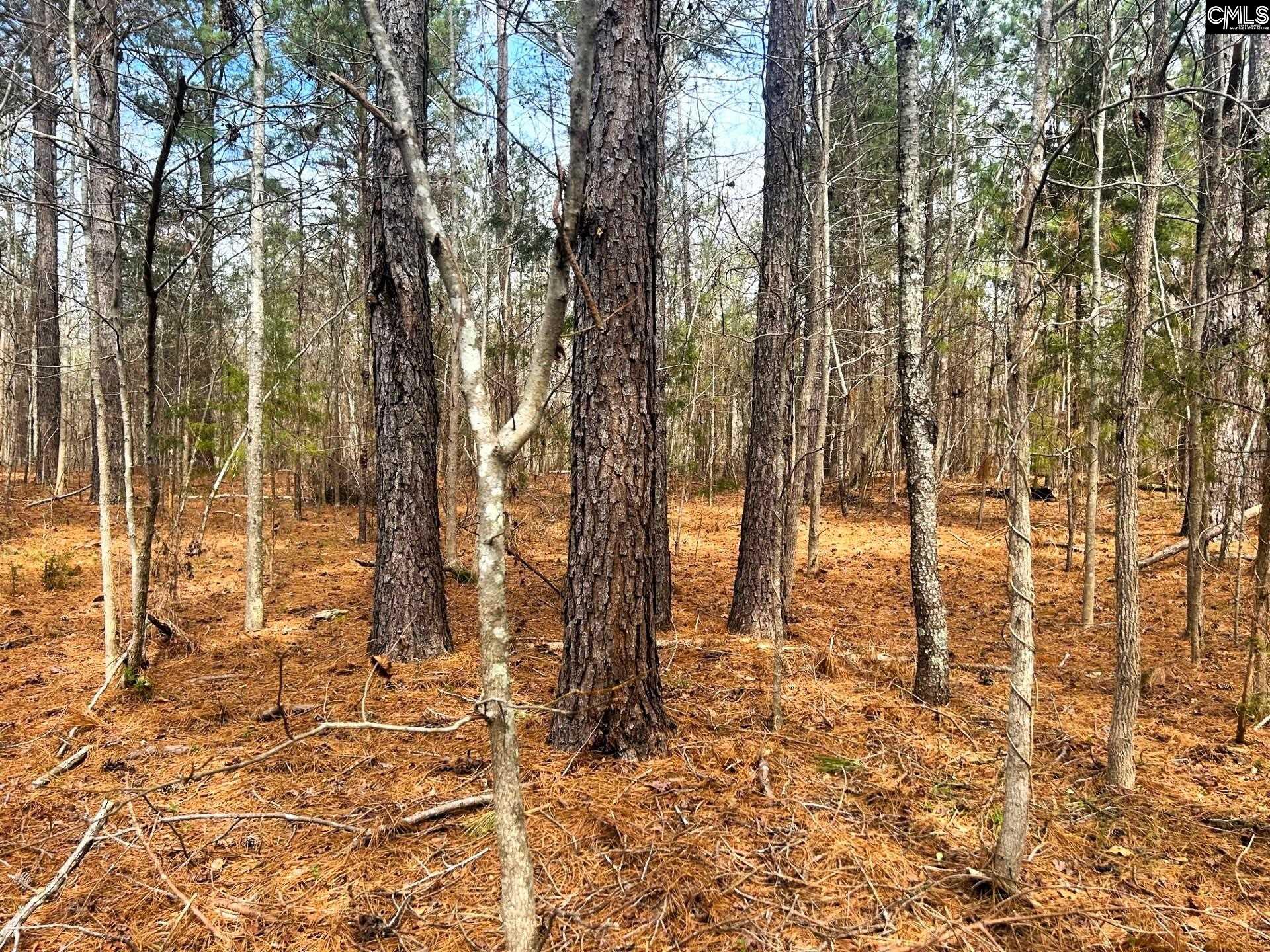 TBD Dreher Island Road Prosperity, SC 29127