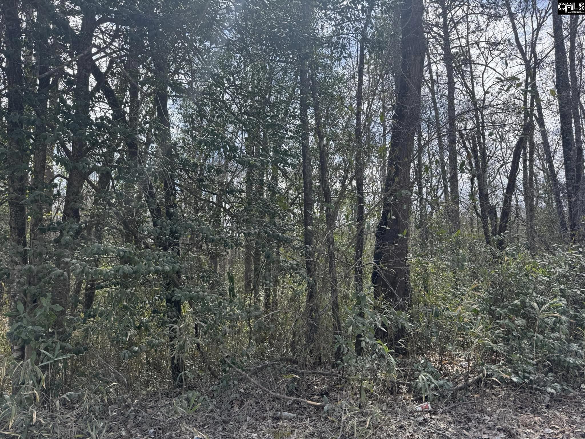 1230 Goffman Road, Eastover, South Carolina image 2