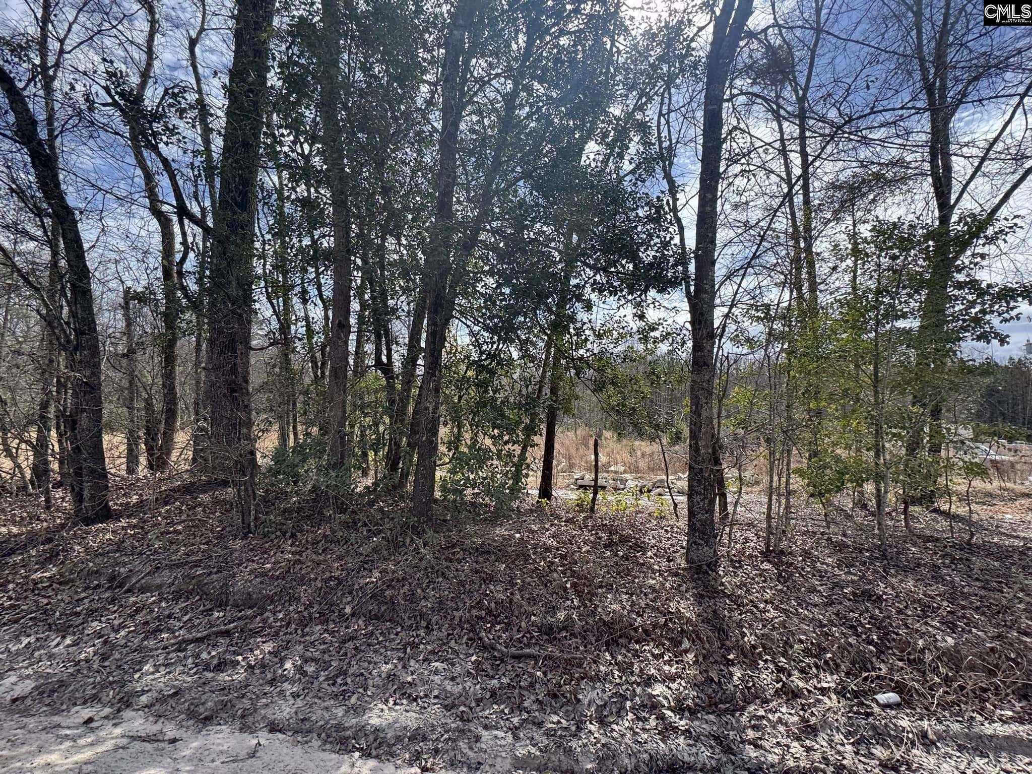 1230 Goffman Road, Eastover, South Carolina image 5