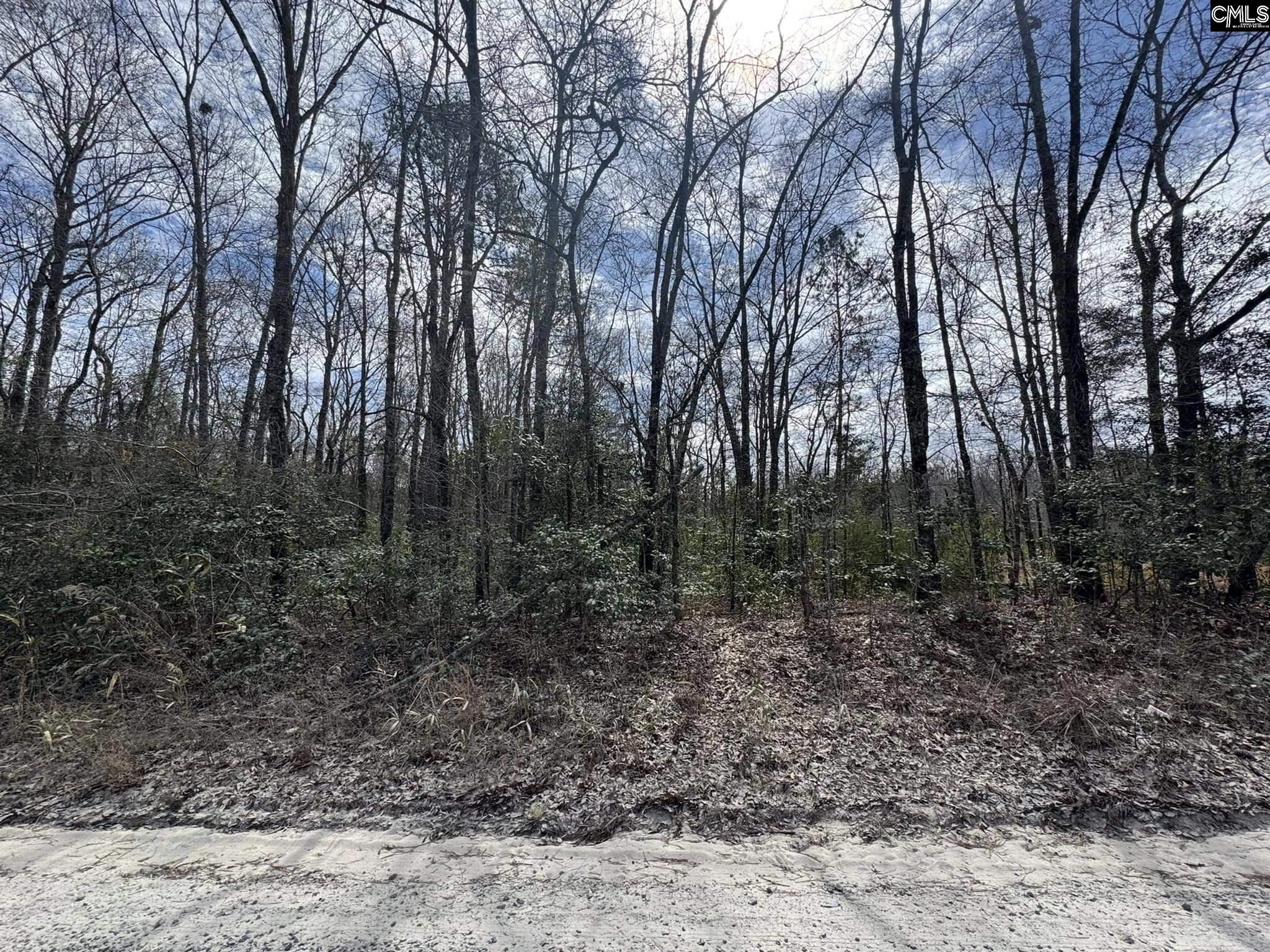 1230 Goffman Road, Eastover, South Carolina image 6