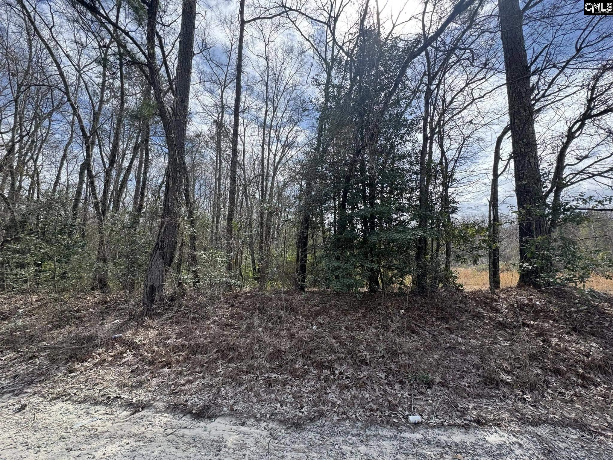 1230 Goffman Road, Eastover, South Carolina image 8