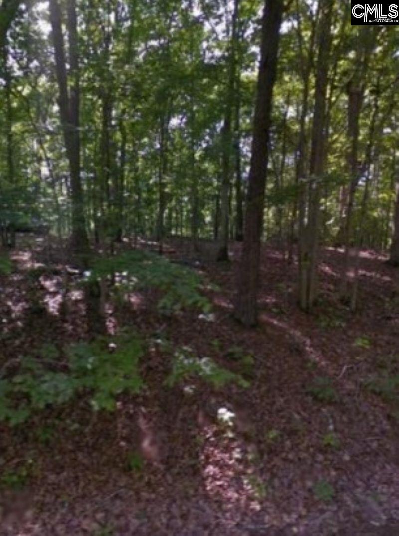 Dogwood Avenue, Winnsboro, South Carolina image 2