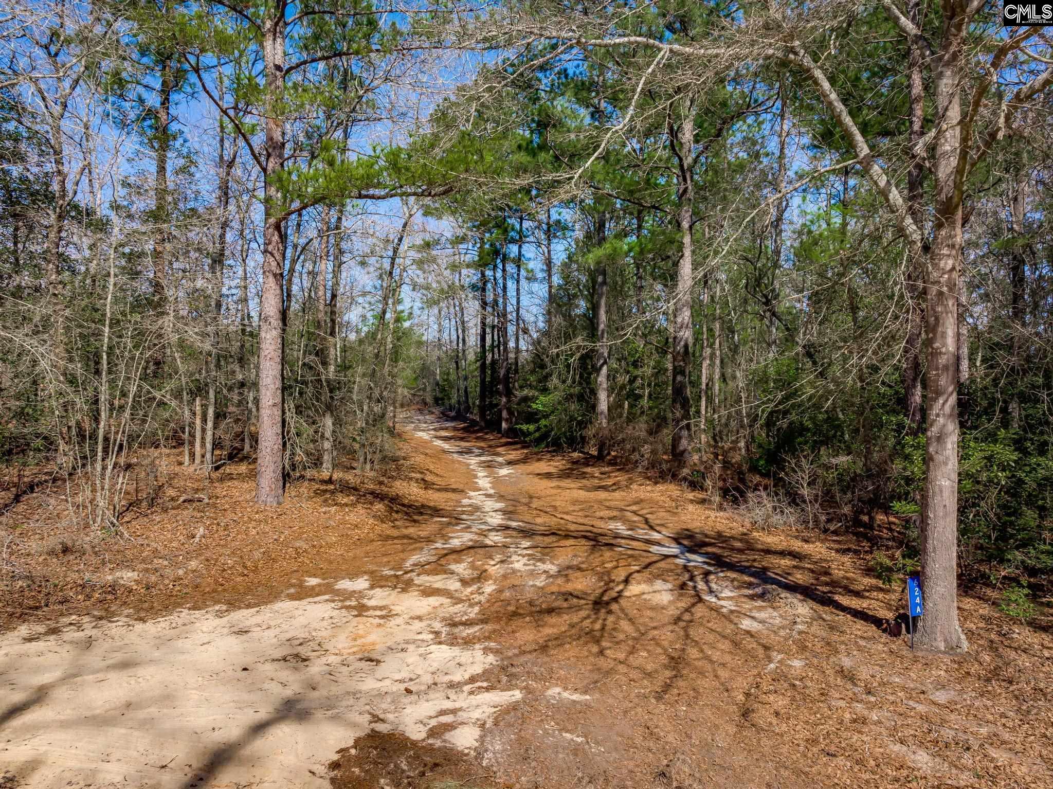 624 Senterfeit Road, Batesburg, South Carolina image 11