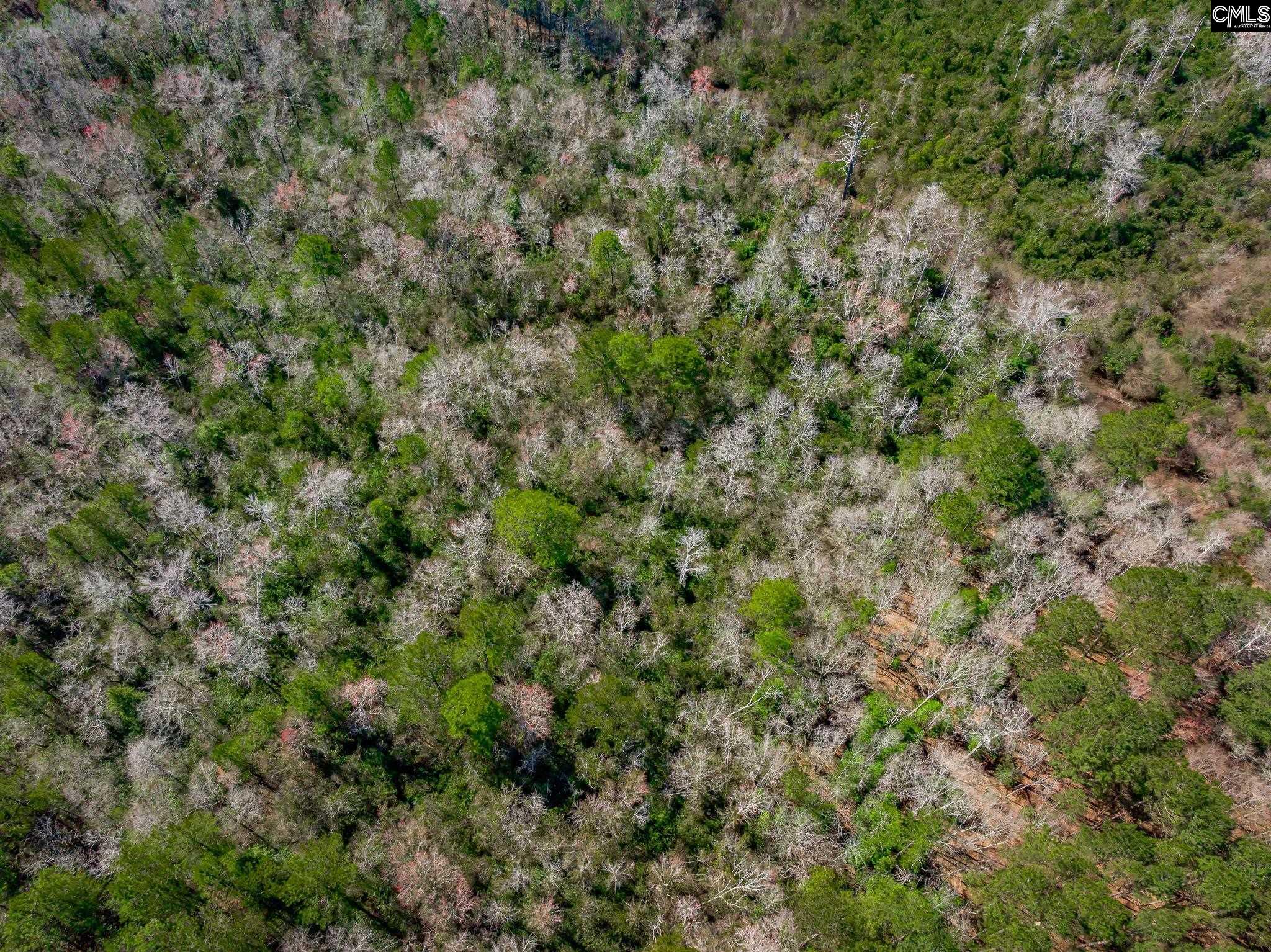 624 Senterfeit Road, Batesburg, South Carolina image 14