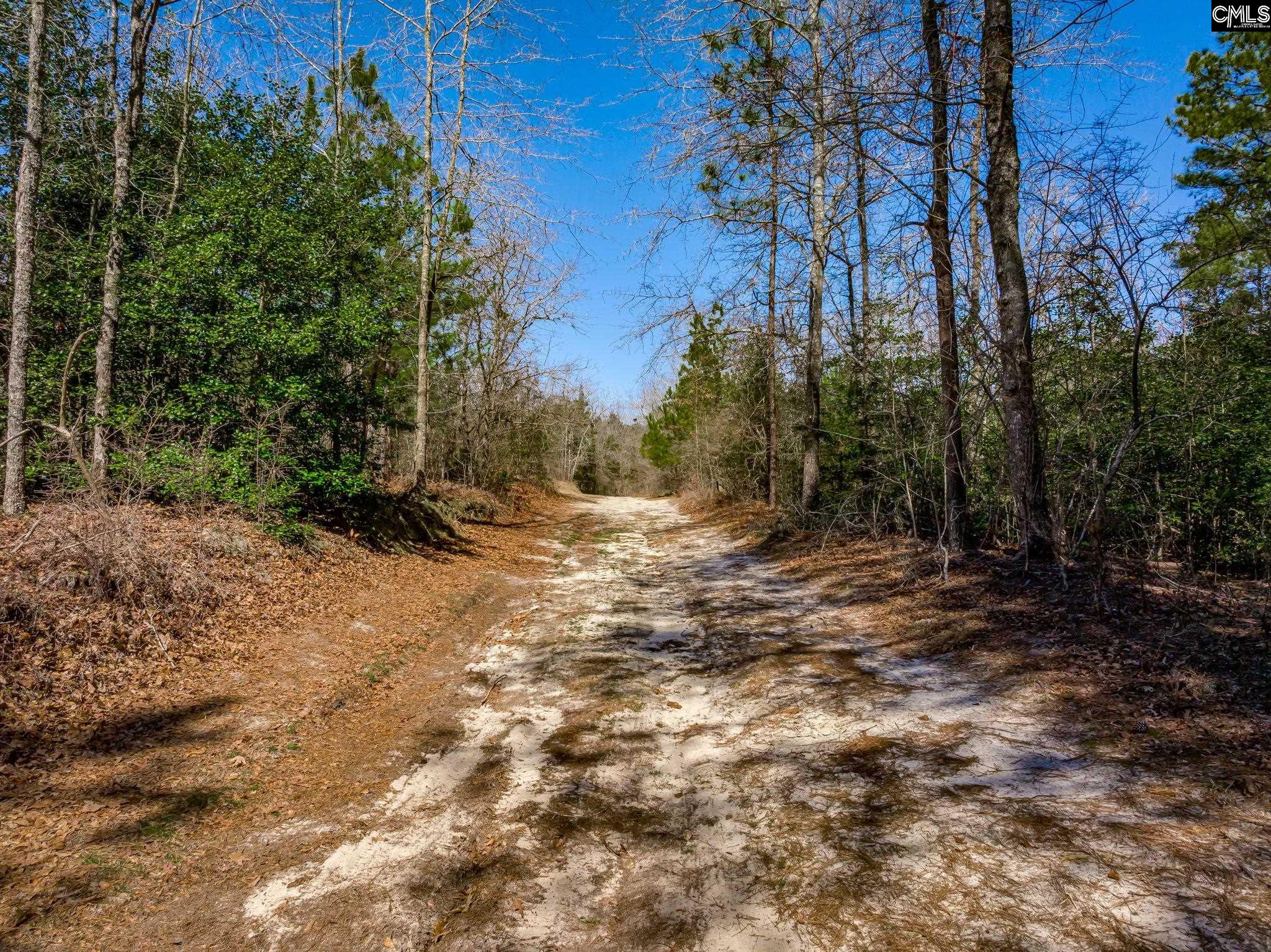 624 Senterfeit Road, Batesburg, South Carolina image 10