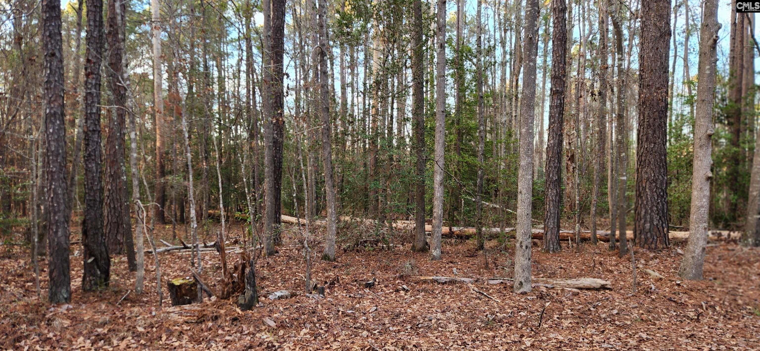 113 Buck Dr Hopkins, SC 29061
