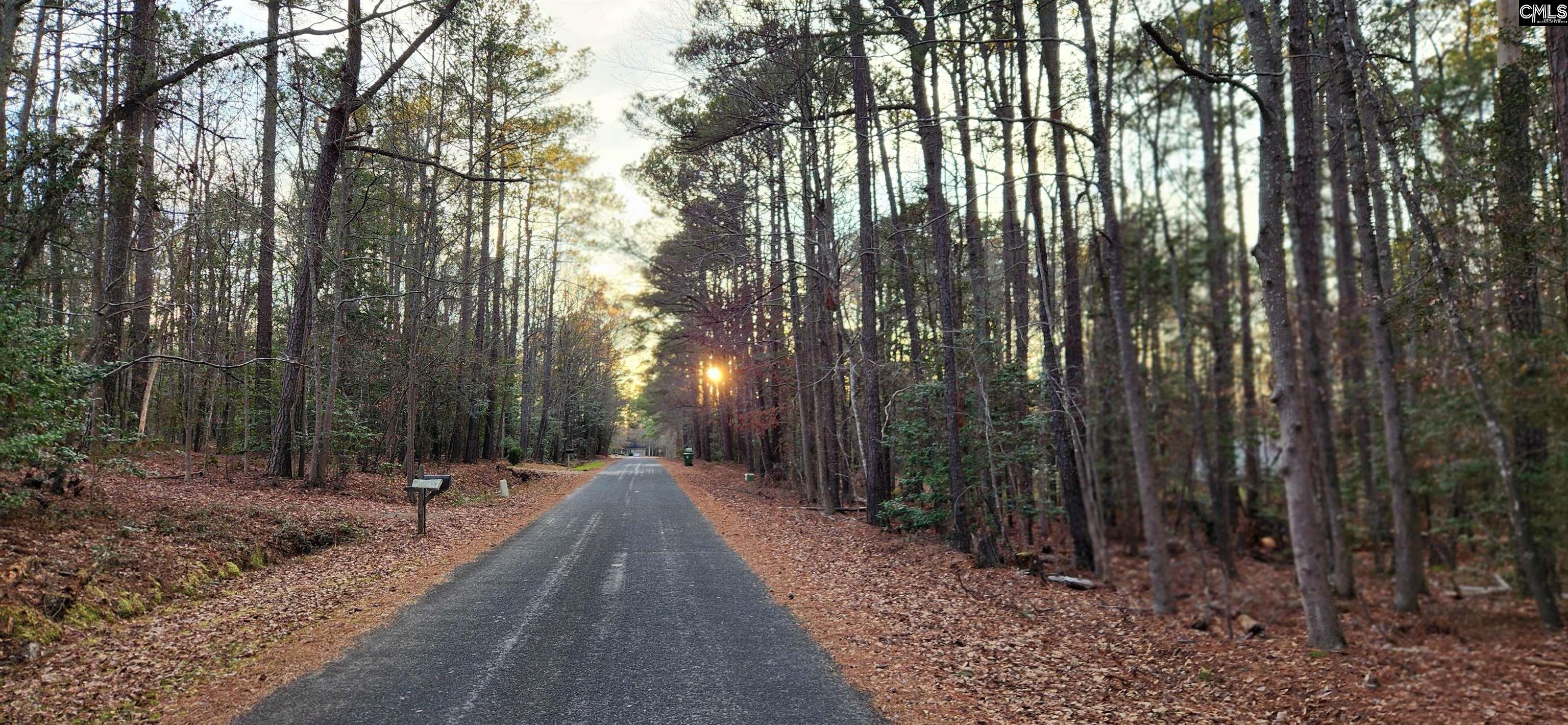 113 Buck Dr Hopkins, SC 29061