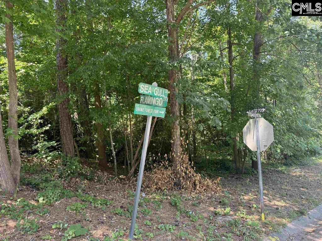 2301 Sea Gull Lane Columbia, SC 29203
