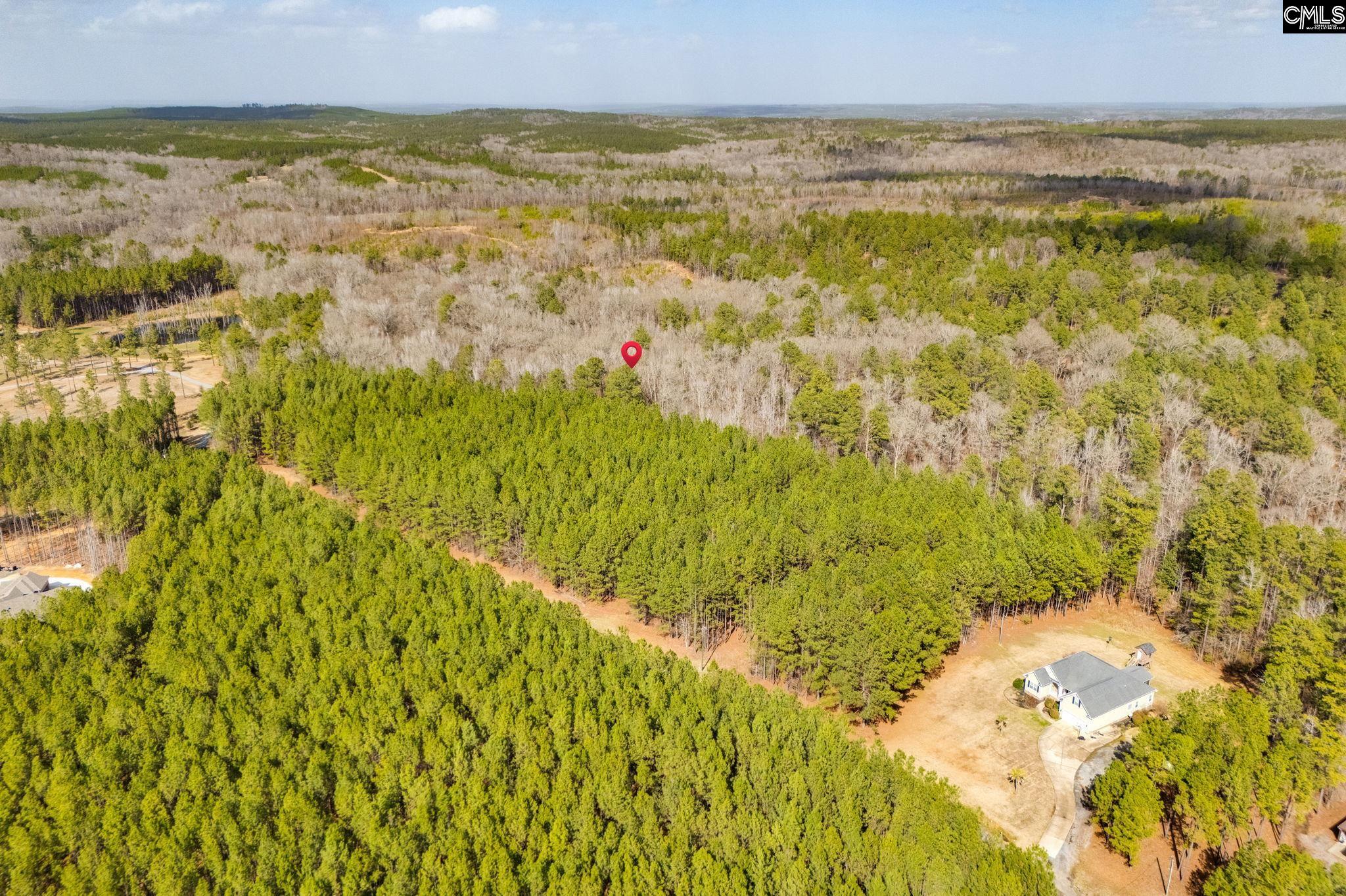 146 Sawney Creek Circle, Ridgeway, South Carolina image 11