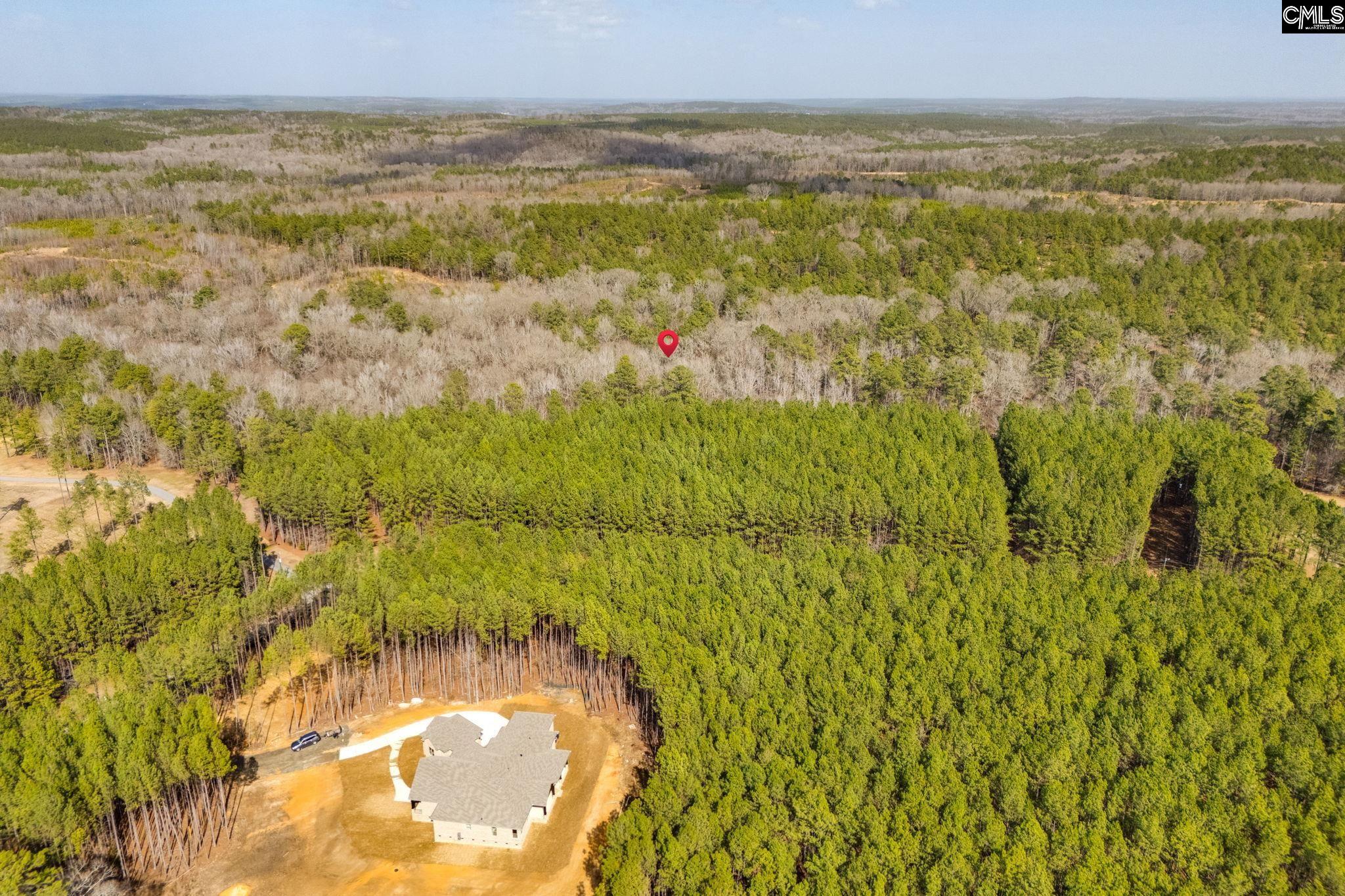 146 Sawney Creek Circle, Ridgeway, South Carolina image 12