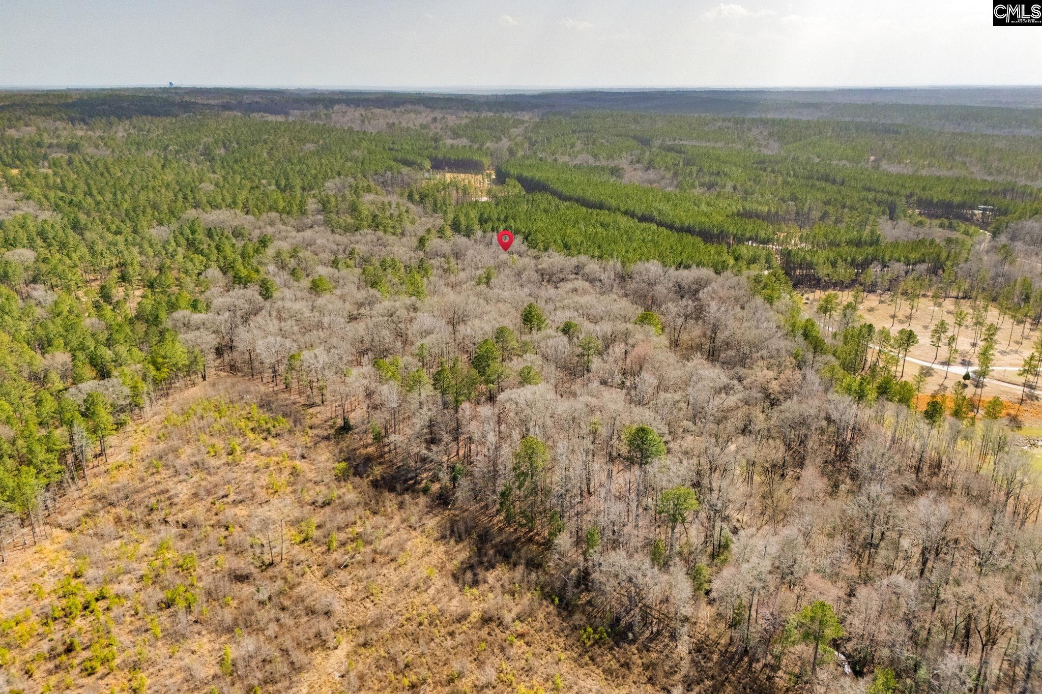 146 Sawney Creek Circle, Ridgeway, South Carolina image 14
