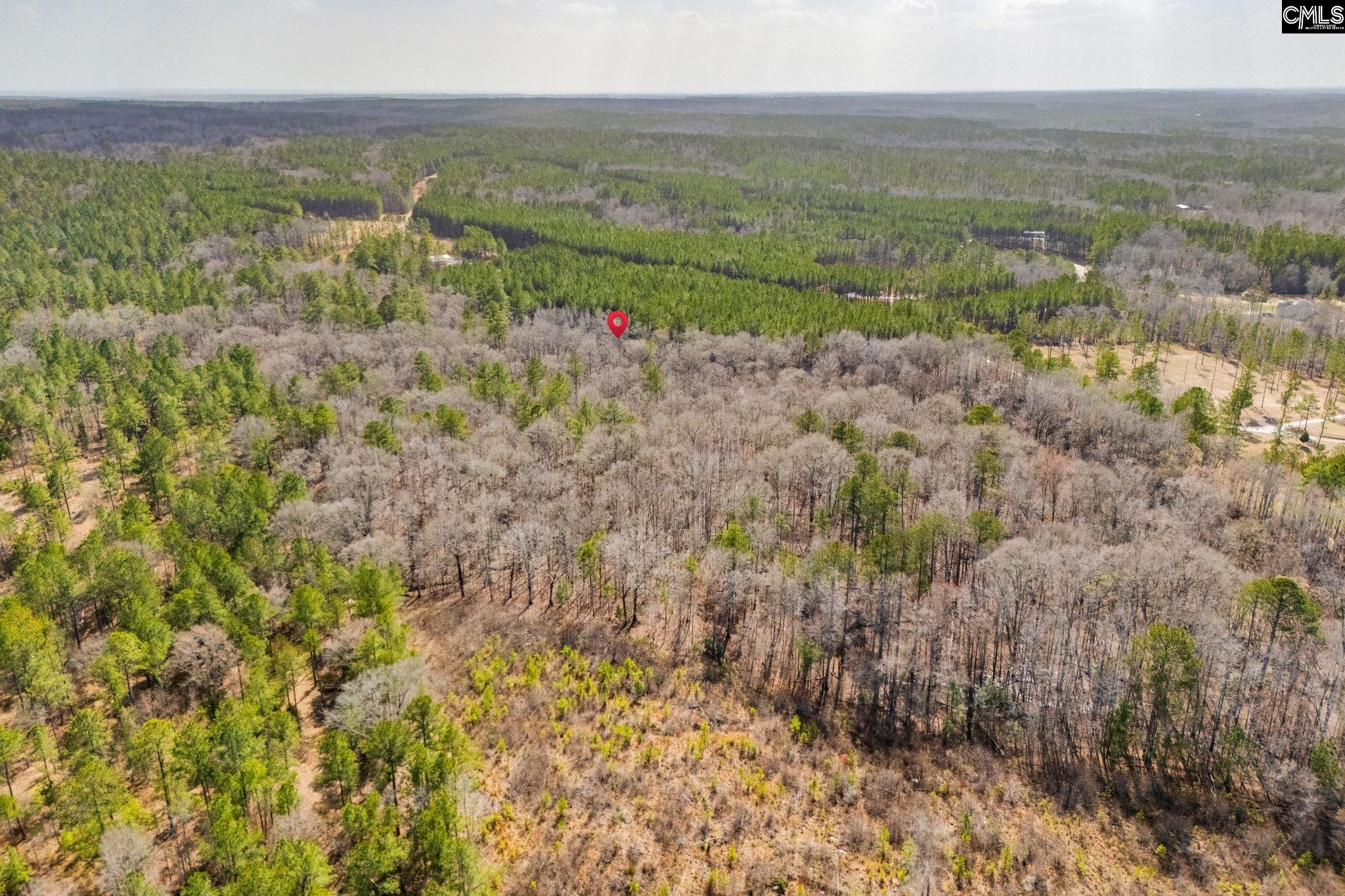 146 Sawney Creek Circle, Ridgeway, South Carolina image 15