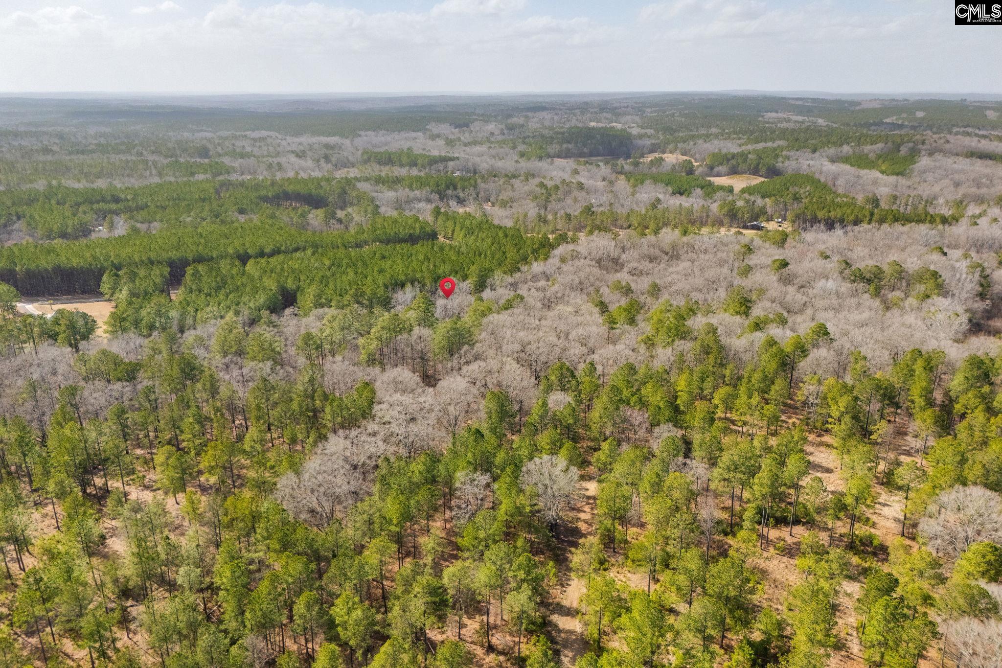 146 Sawney Creek Circle, Ridgeway, South Carolina image 17