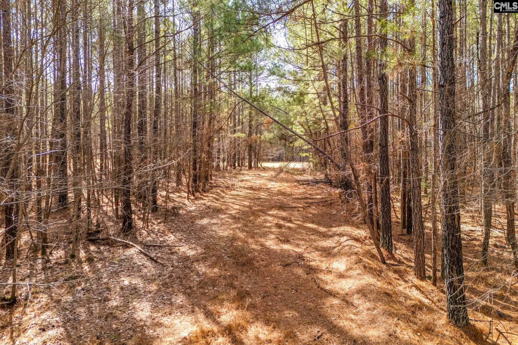 146 Sawney Creek Circle, Ridgeway, South Carolina image 4