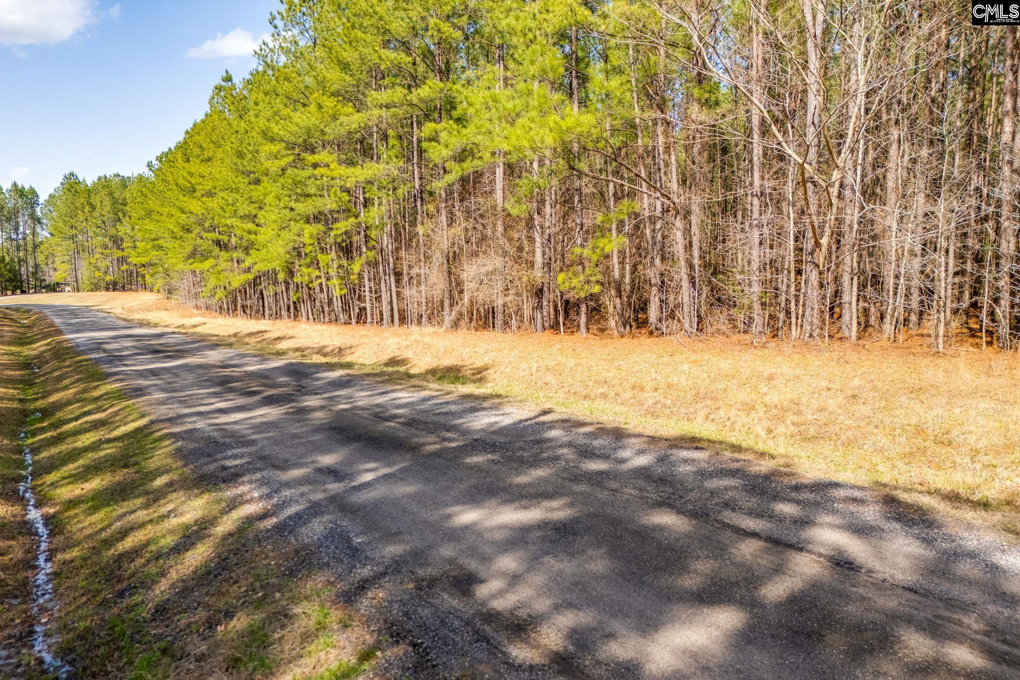 146 Sawney Creek Circle, Ridgeway, South Carolina image 5