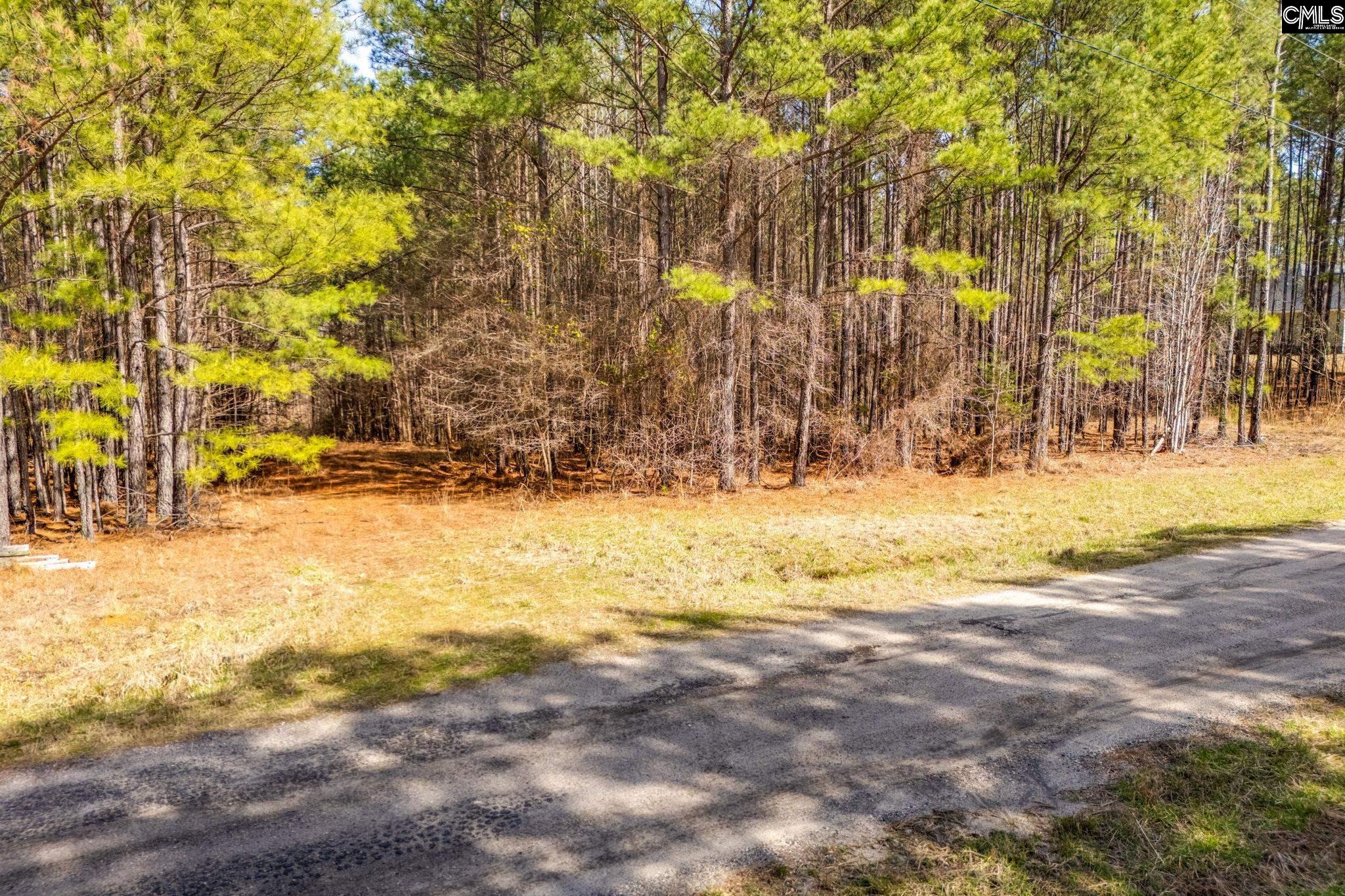 146 Sawney Creek Circle, Ridgeway, South Carolina image 6