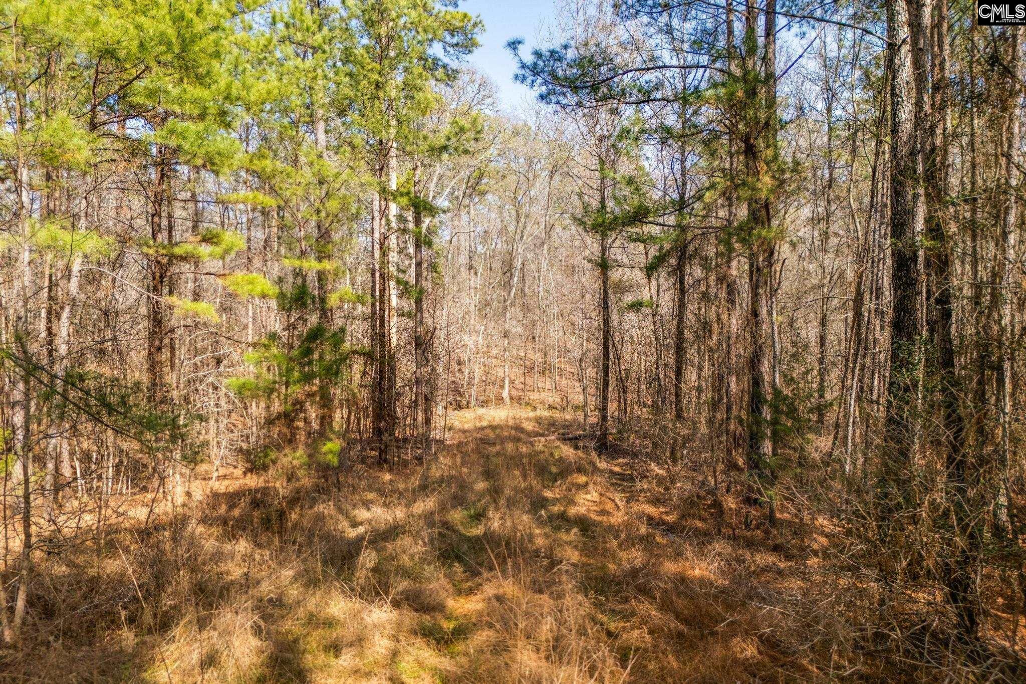 146 Sawney Creek Circle, Ridgeway, South Carolina image 7