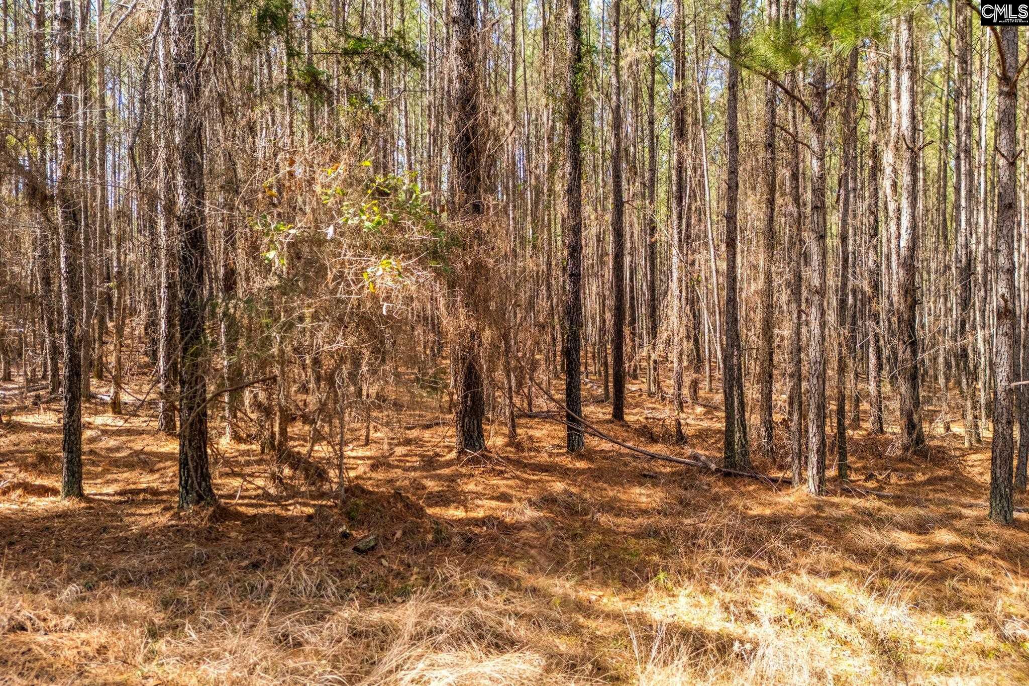 146 Sawney Creek Circle, Ridgeway, South Carolina image 8