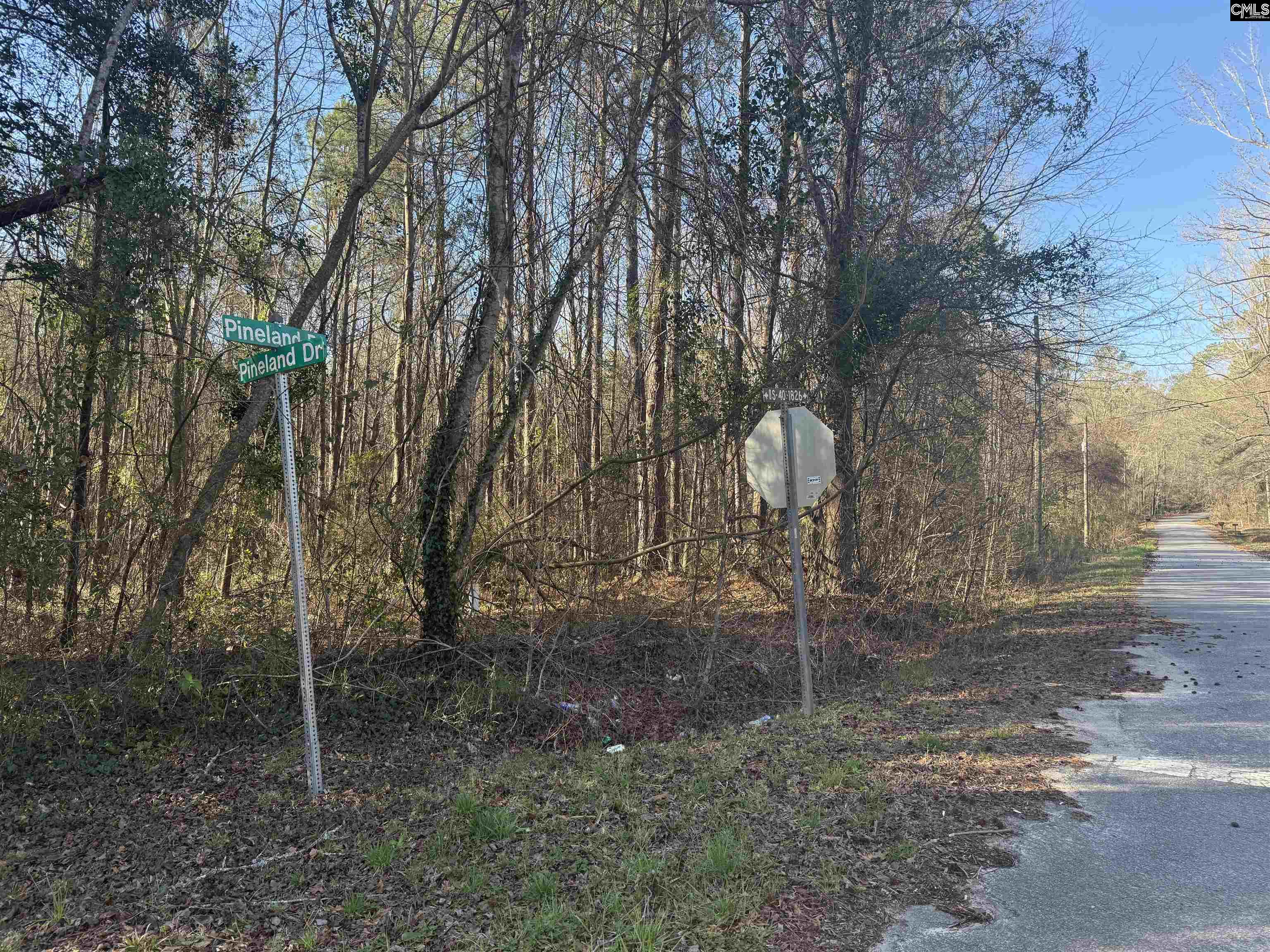 1070 Pinel Drive Columbia, SC 29203