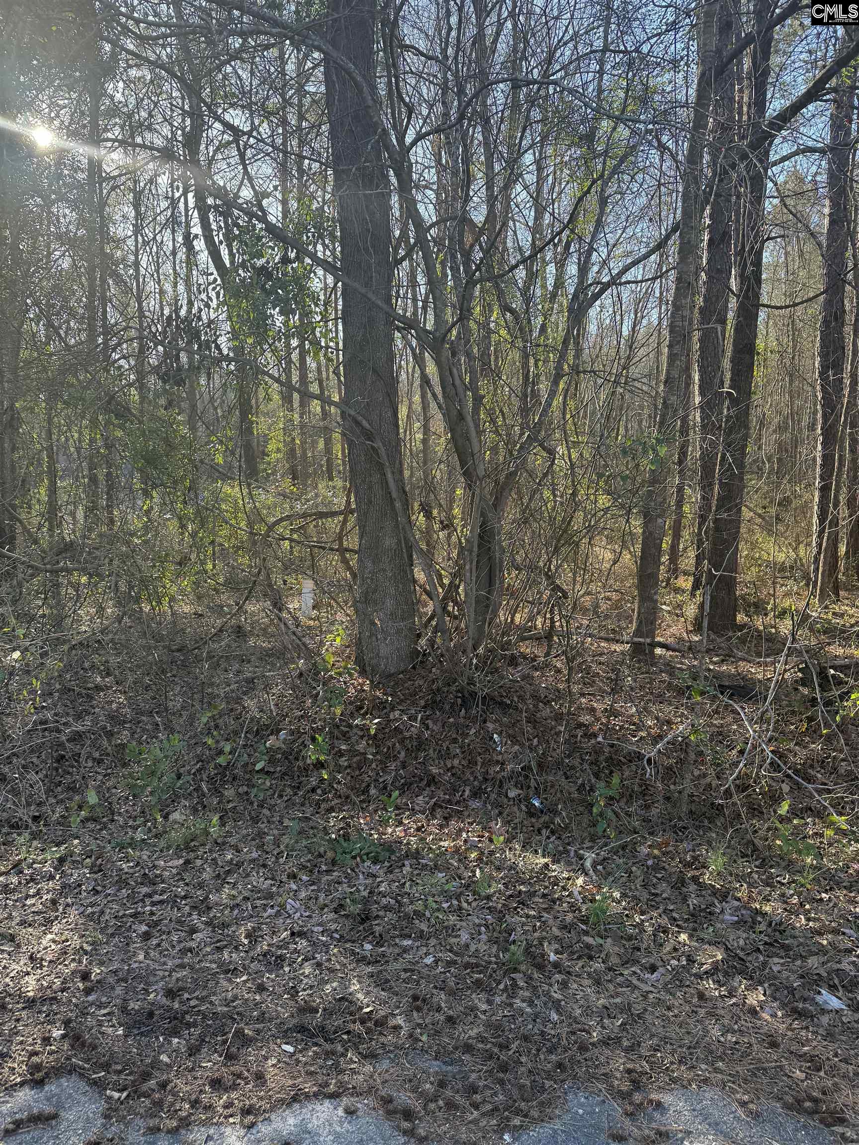 1070 Pinel Drive Columbia, SC 29203