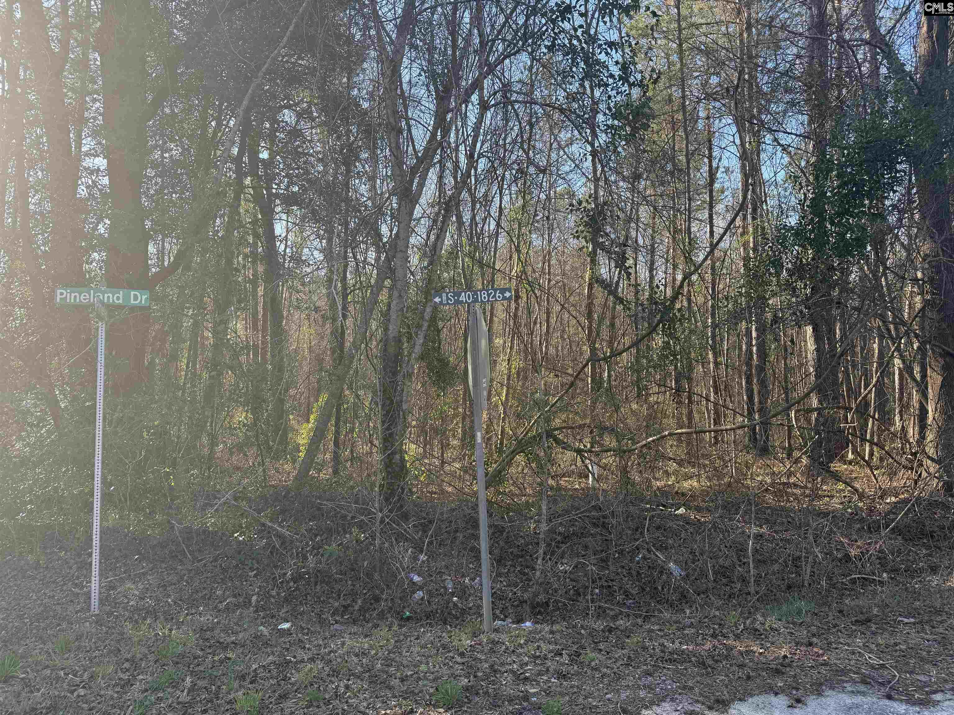 1070 Pinel Drive Columbia, SC 29203