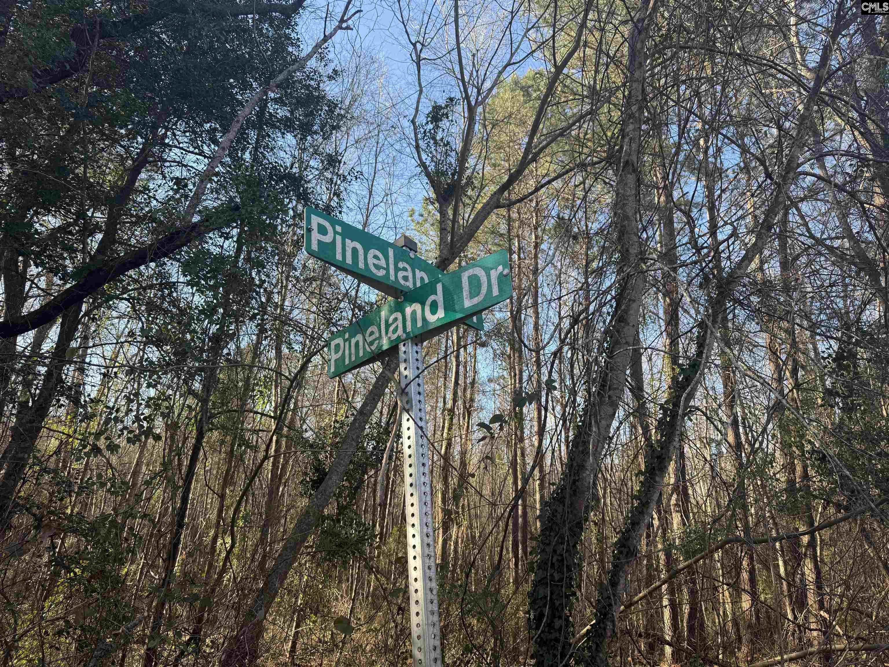 1070 Pinel Drive Columbia, SC 29203