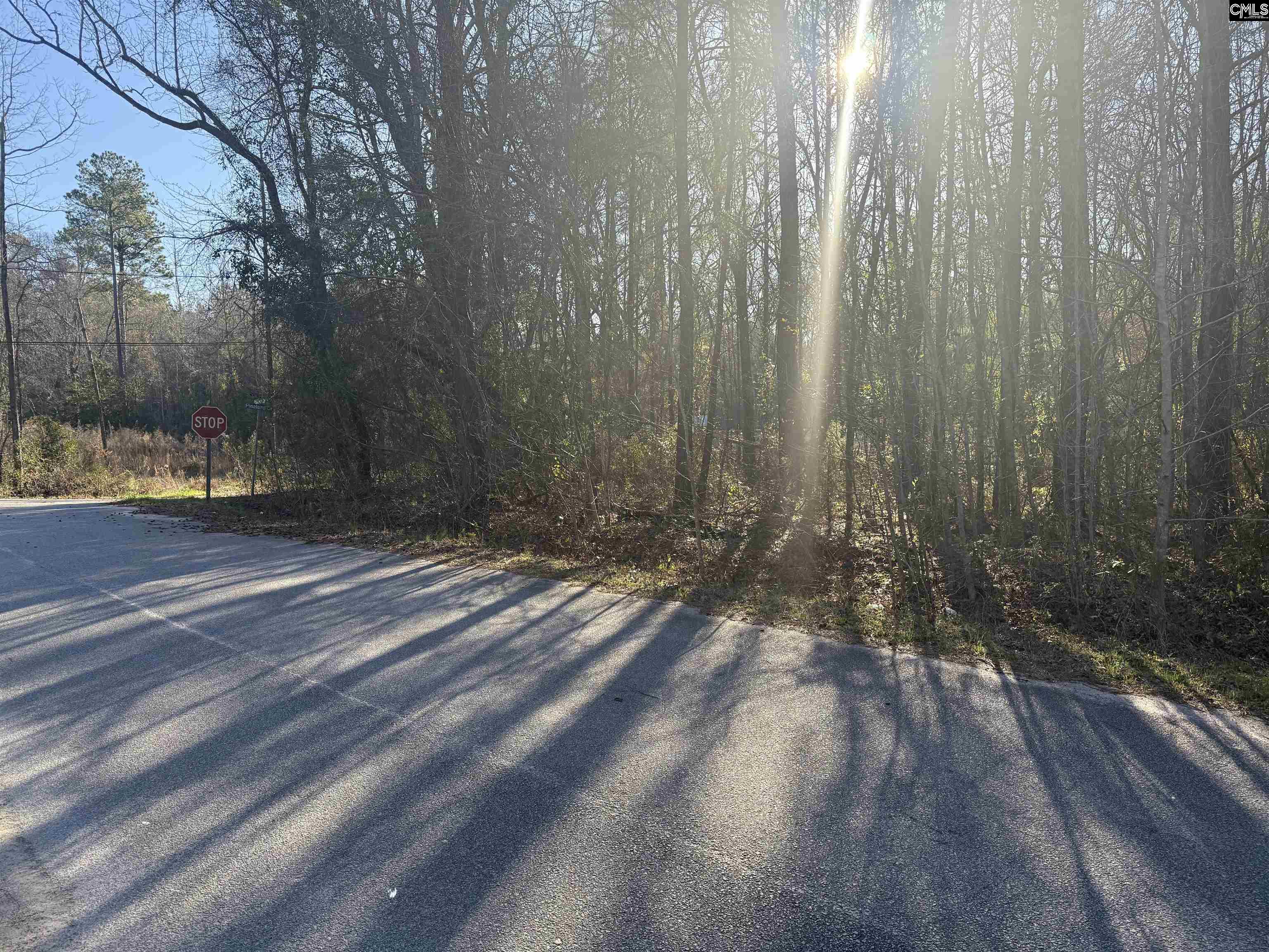 1070 Pinel Drive Columbia, SC 29203